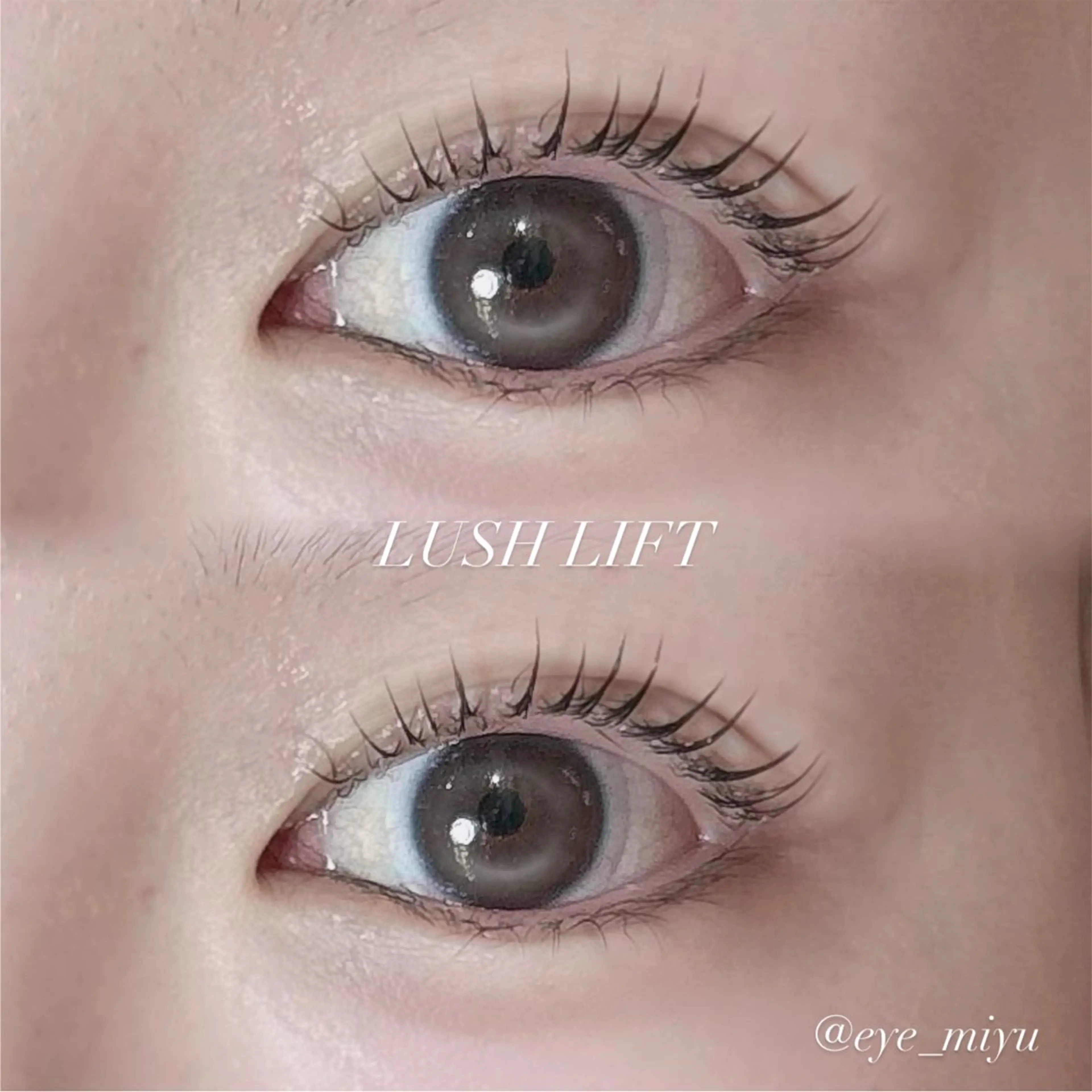 スペシャルケア👑 アイパック、アイシャンプー、トリートメント付まつ毛パーマ上💚の写真