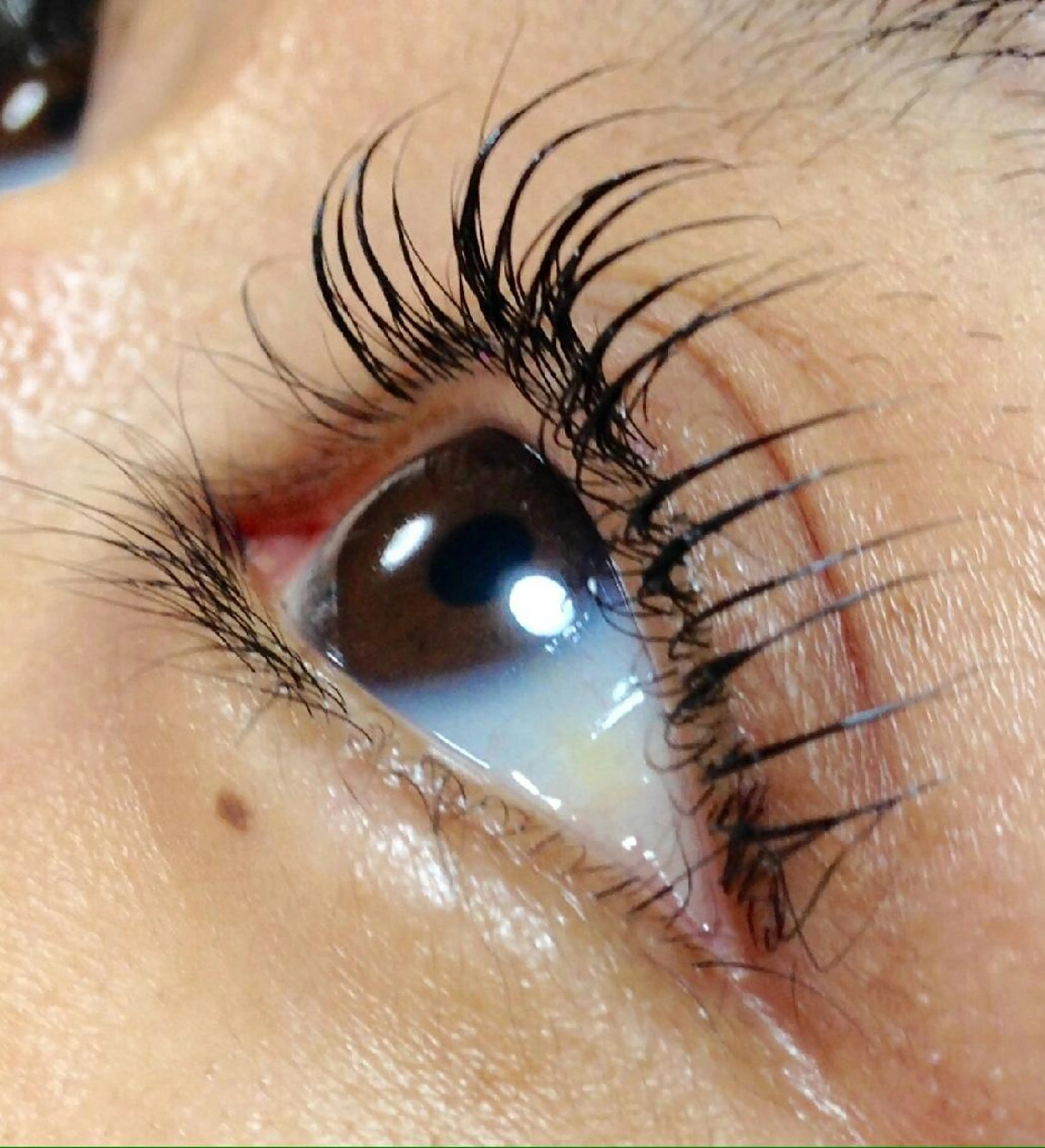 マツエク・マツパ アネラ 北本店のマツエク・マツパデザイン