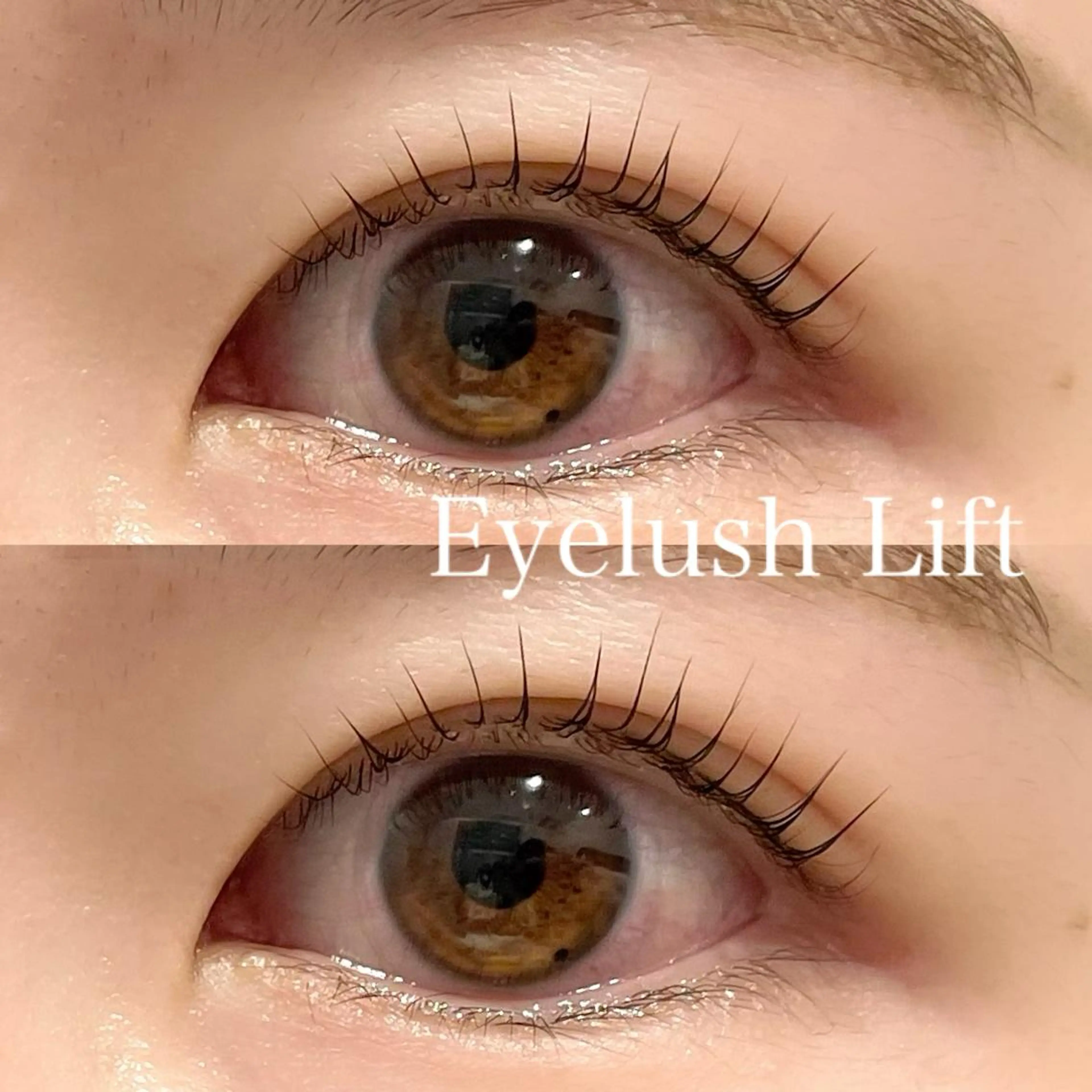 マツエク・マツパ ヘアアレンジ🪽🎀 艶カラー/天王寺のヘアスタイル