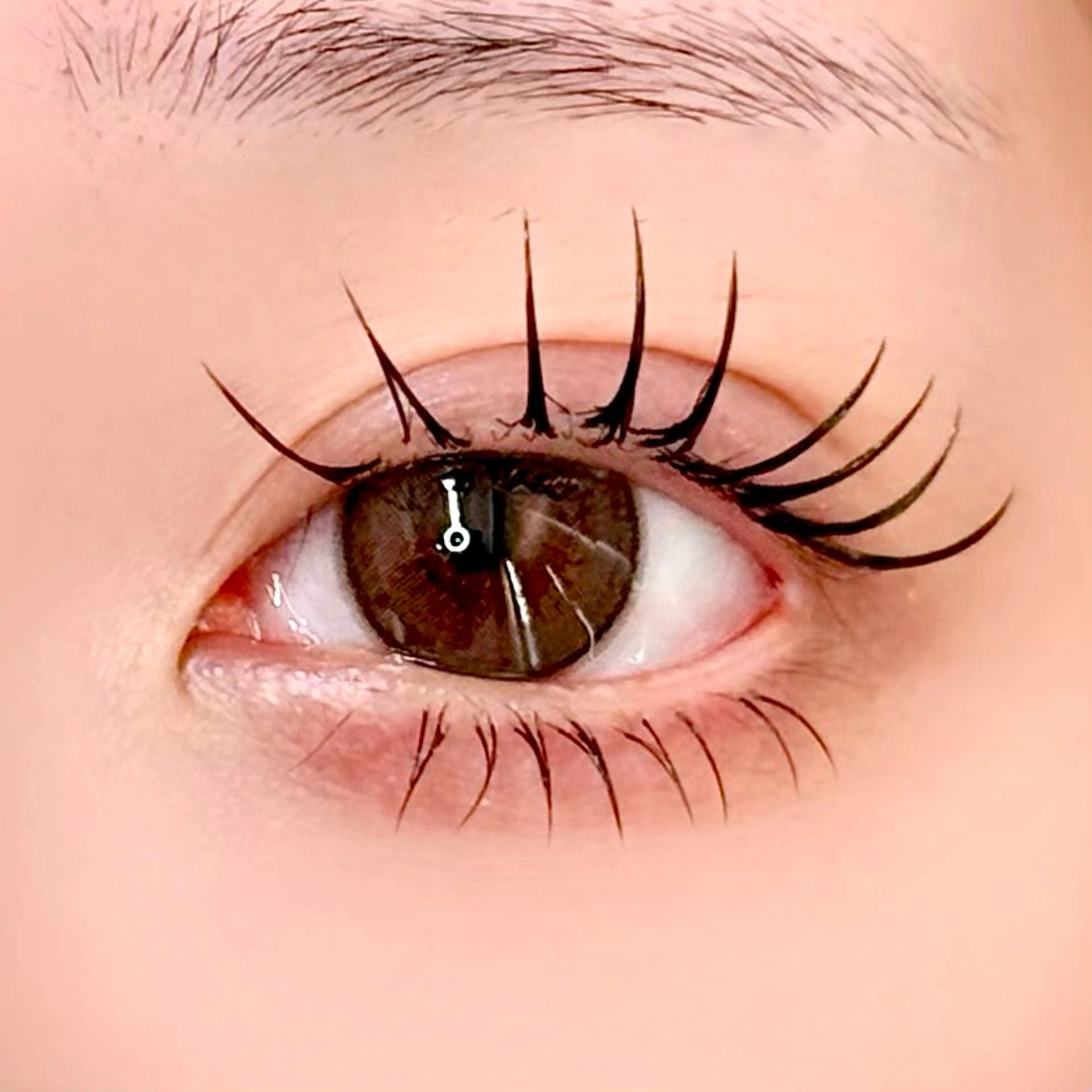 💠上下マツエク💠【上120本+下40本】の写真