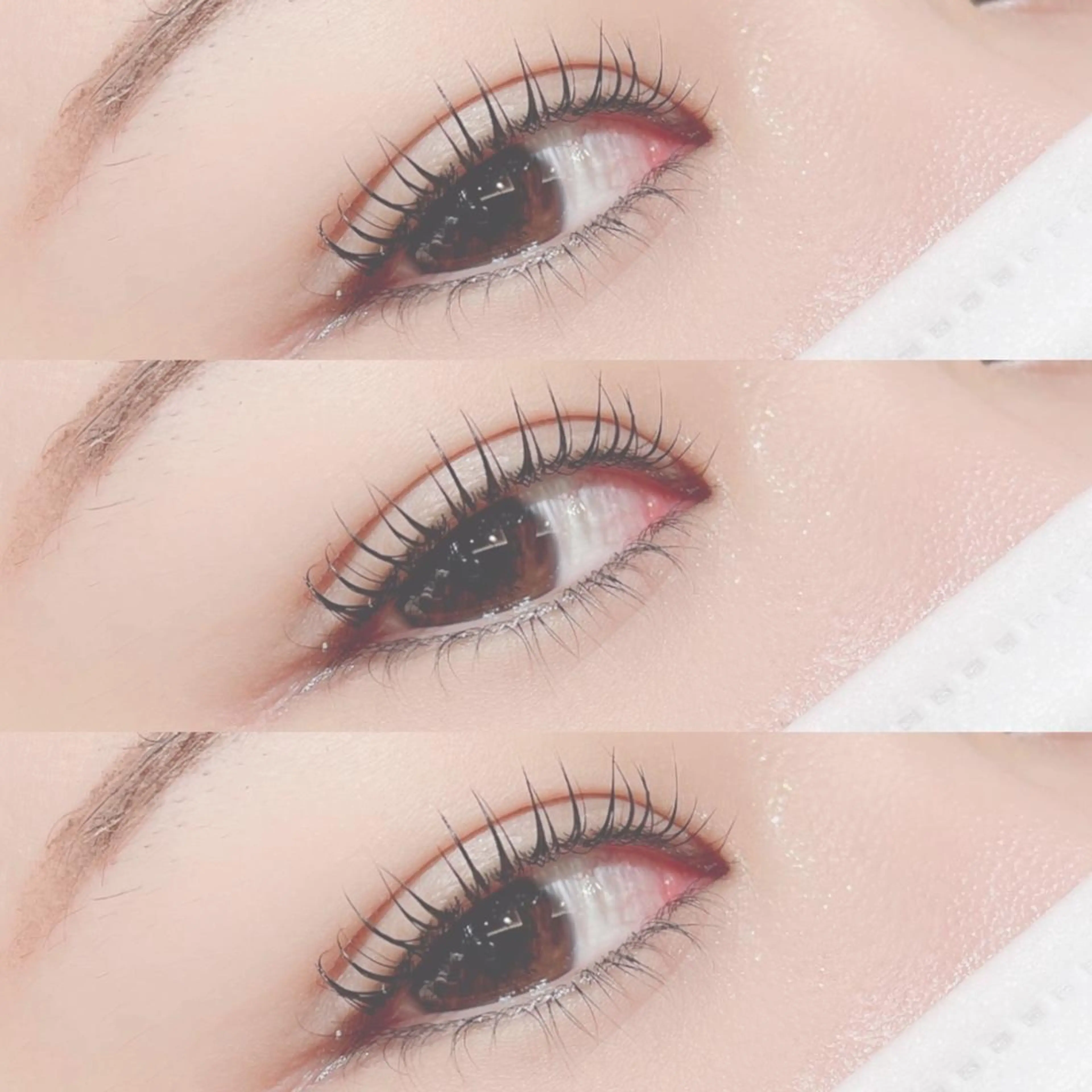 マツエク・マツパ LUCIA所属・小湊理央 🐣LUCIA🐣のその他イメージ