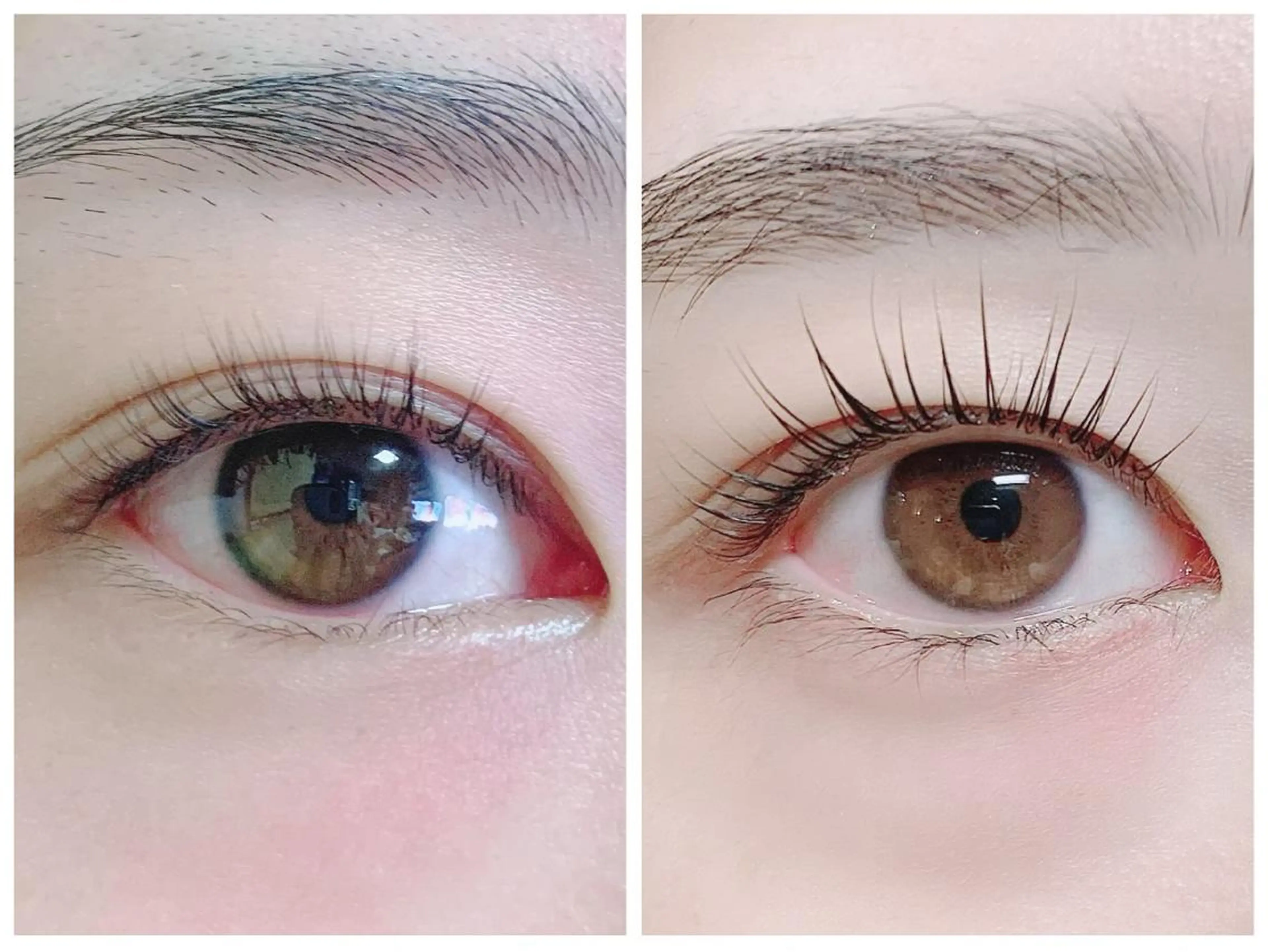 マツエク・マツパ パリジェンヌラッシュリフト 池袋駅韓国風🇰🇷 束感💗Tomoのマツエク・マツパデザイン