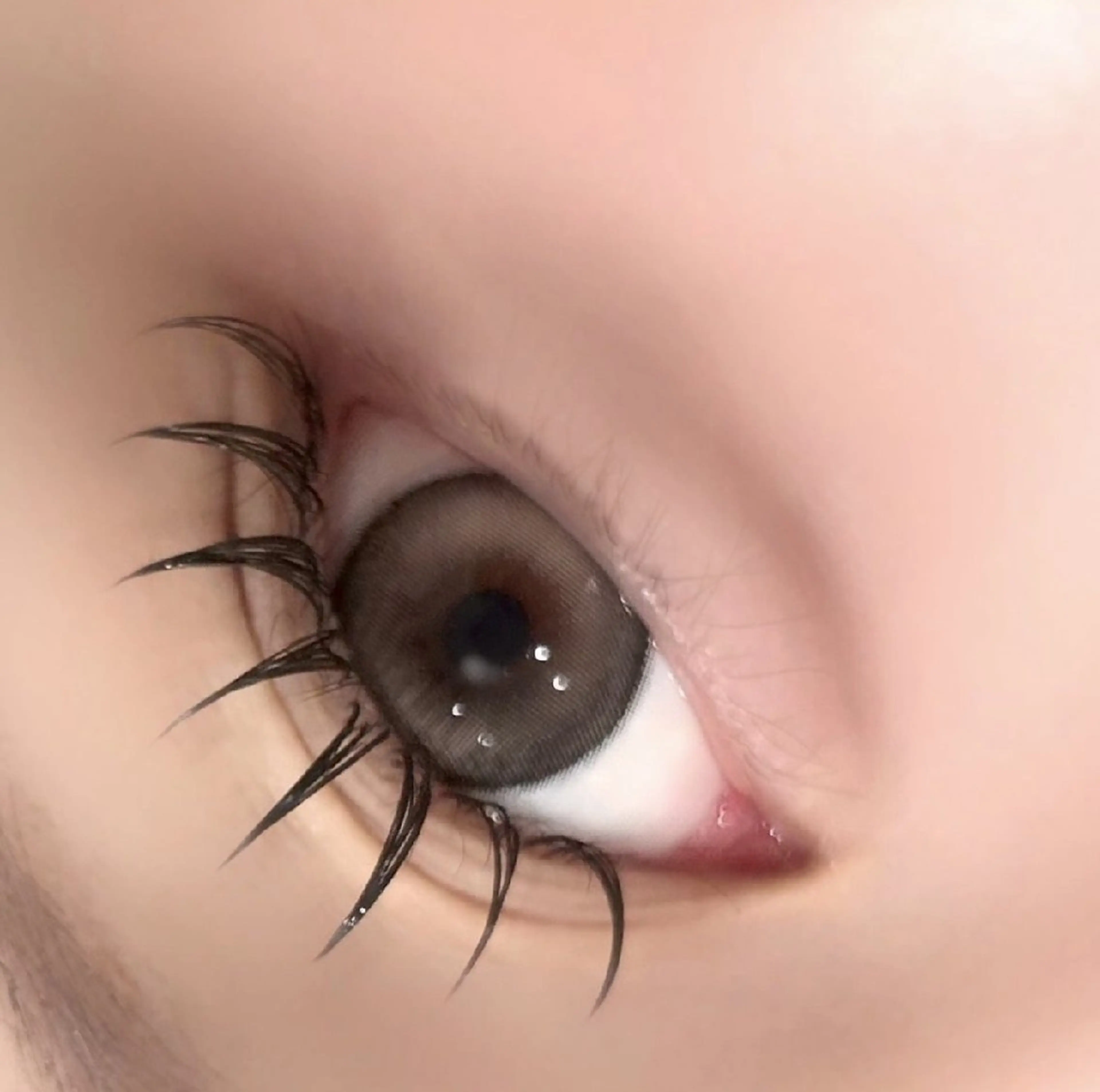 【当日限定!!】低刺激×高持続LEDマツエク 140~160本の写真