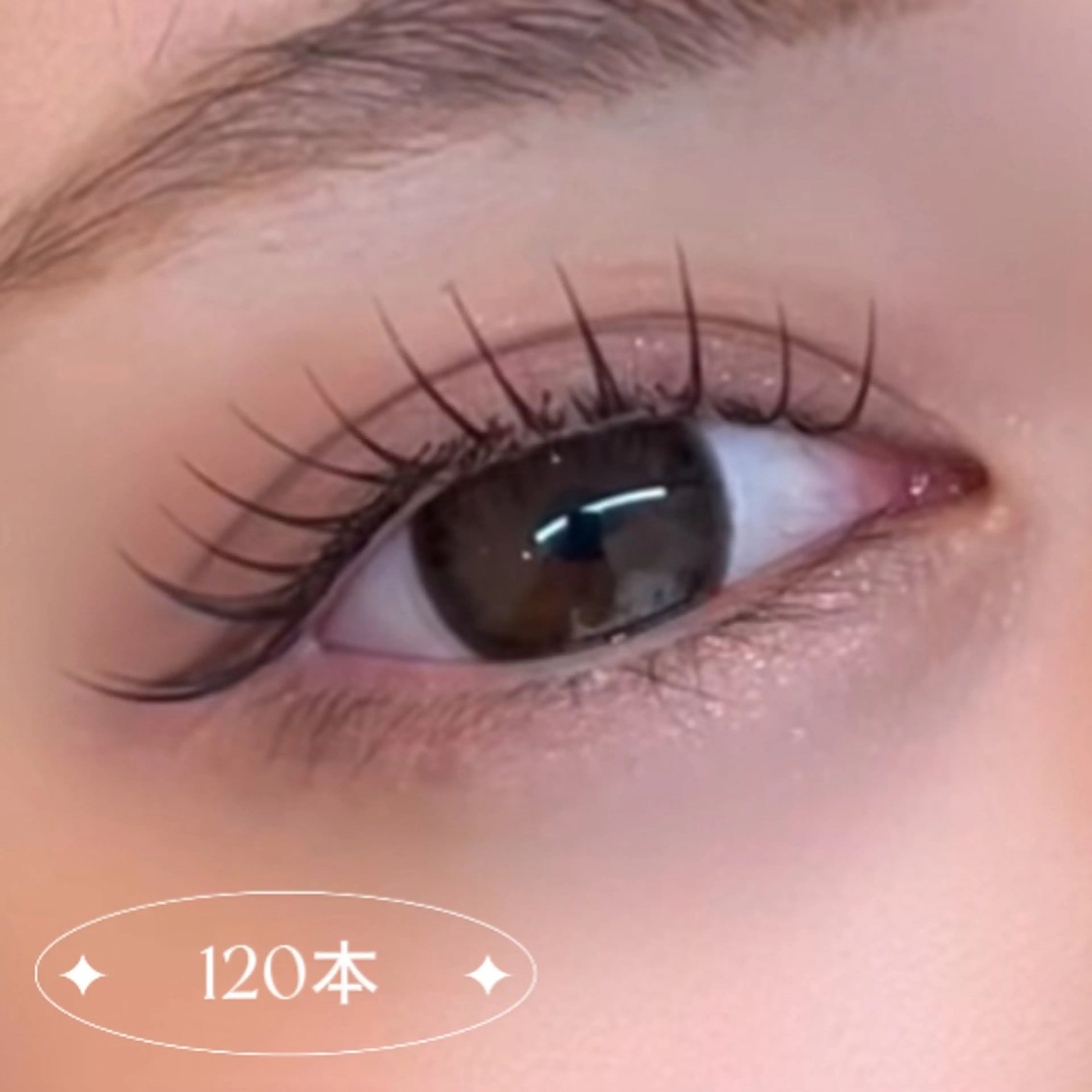 フラットラッシュ|120本の写真