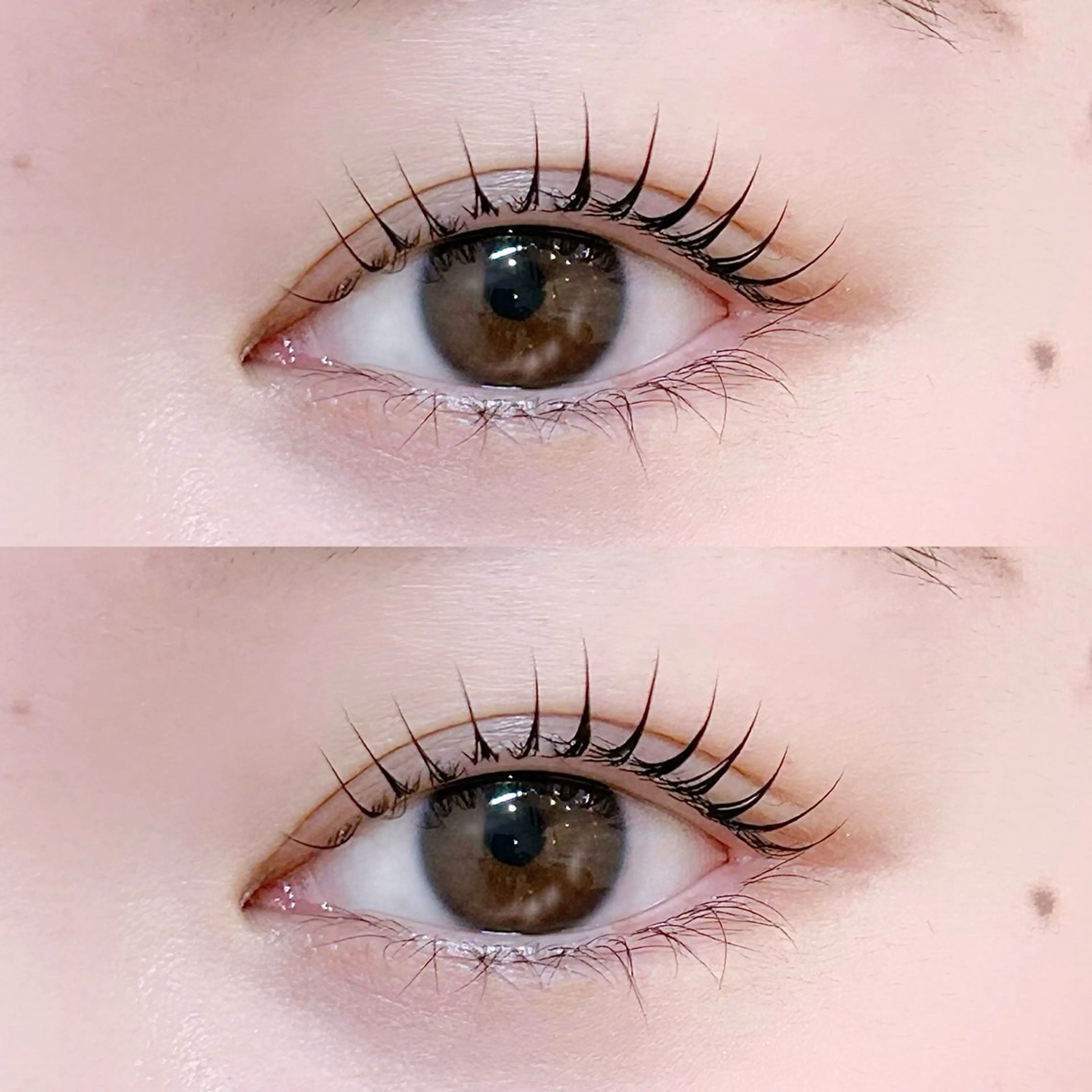 【アイシャンプー付き】パリジェンヌラッシュリフト(まつげパーマ)🩰の写真