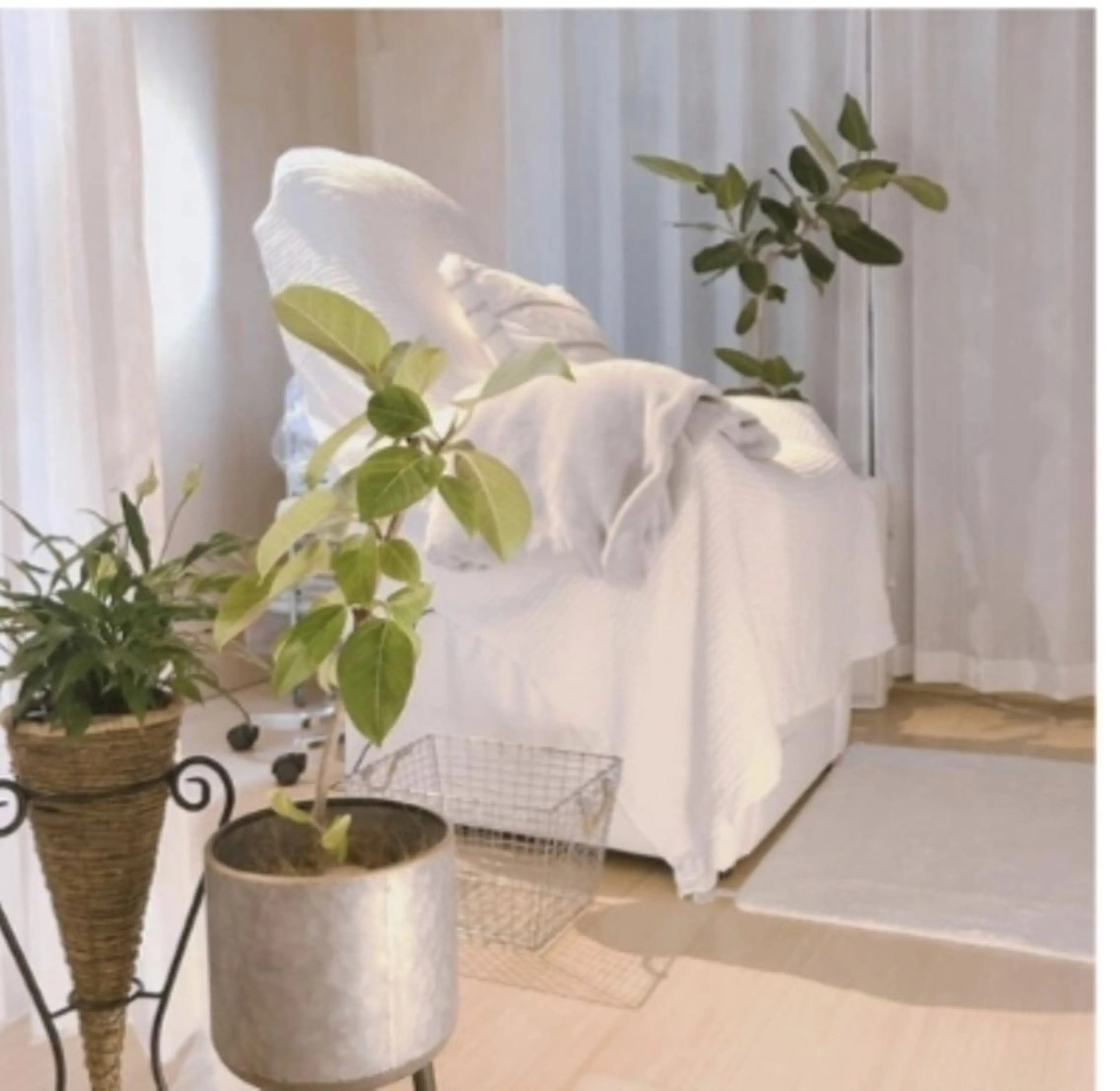 NAZ eyelash&eyebrow by medical salon所属・NAZ 表参道 Tomokoのマツエク・マツパデザイン