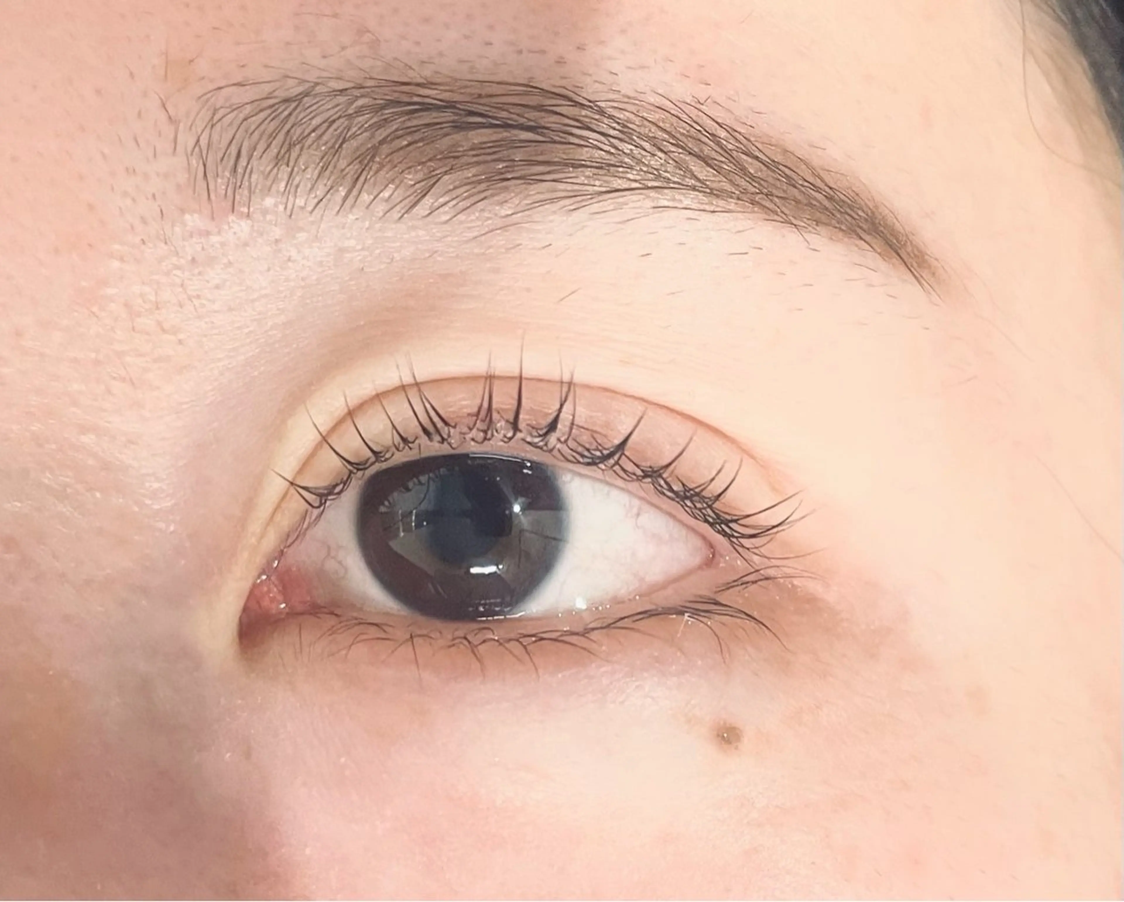 マツエク・マツパ マツパ ビューティースペース れんのマツエク・マツパデザイン