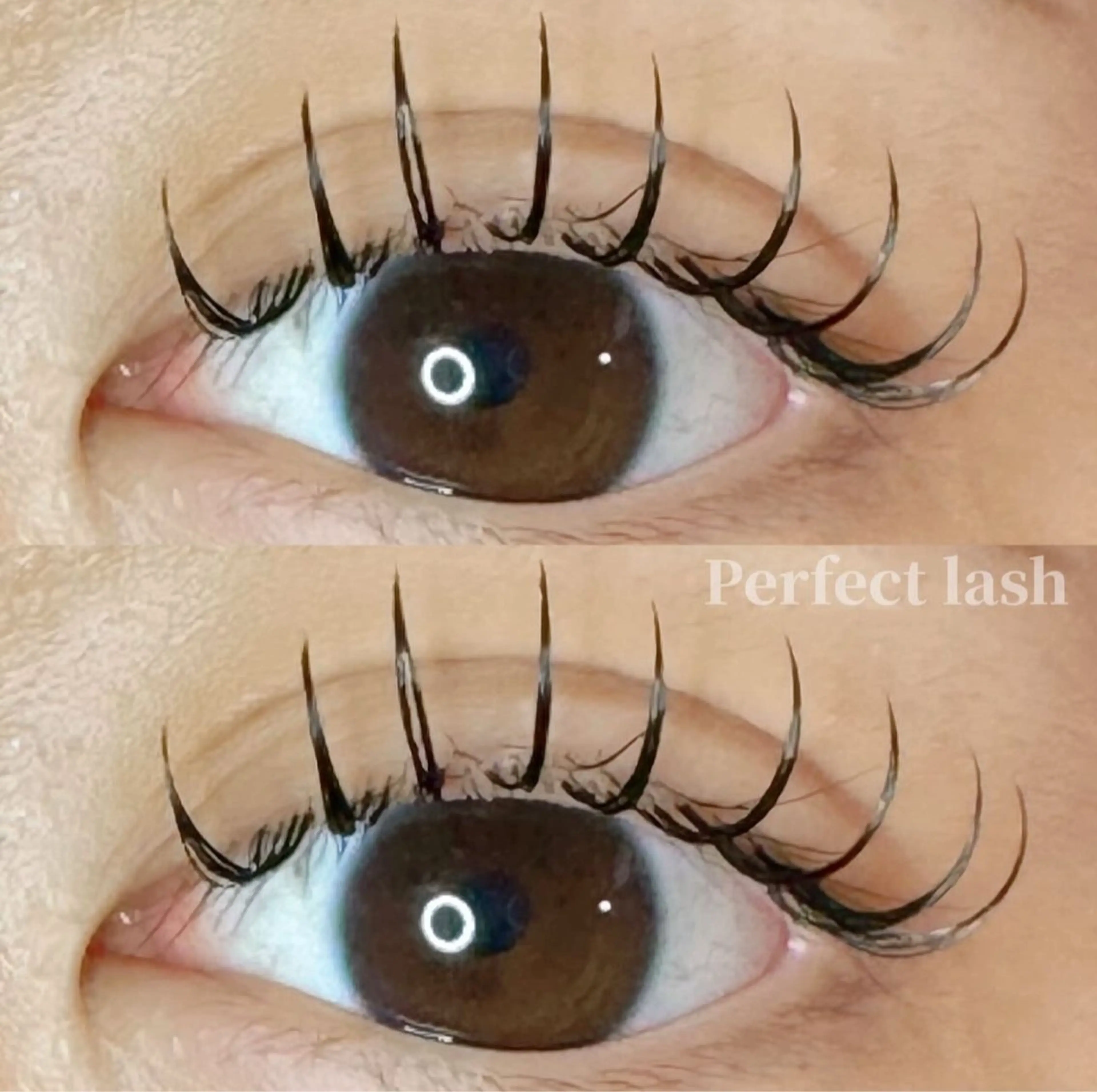 マツエク・マツパ 束感まつ毛 diarblue茅ヶ崎所属・𝑲𝑨𝑾𝑨𝑬 【diarblue】のマツエク・マツパデザイン