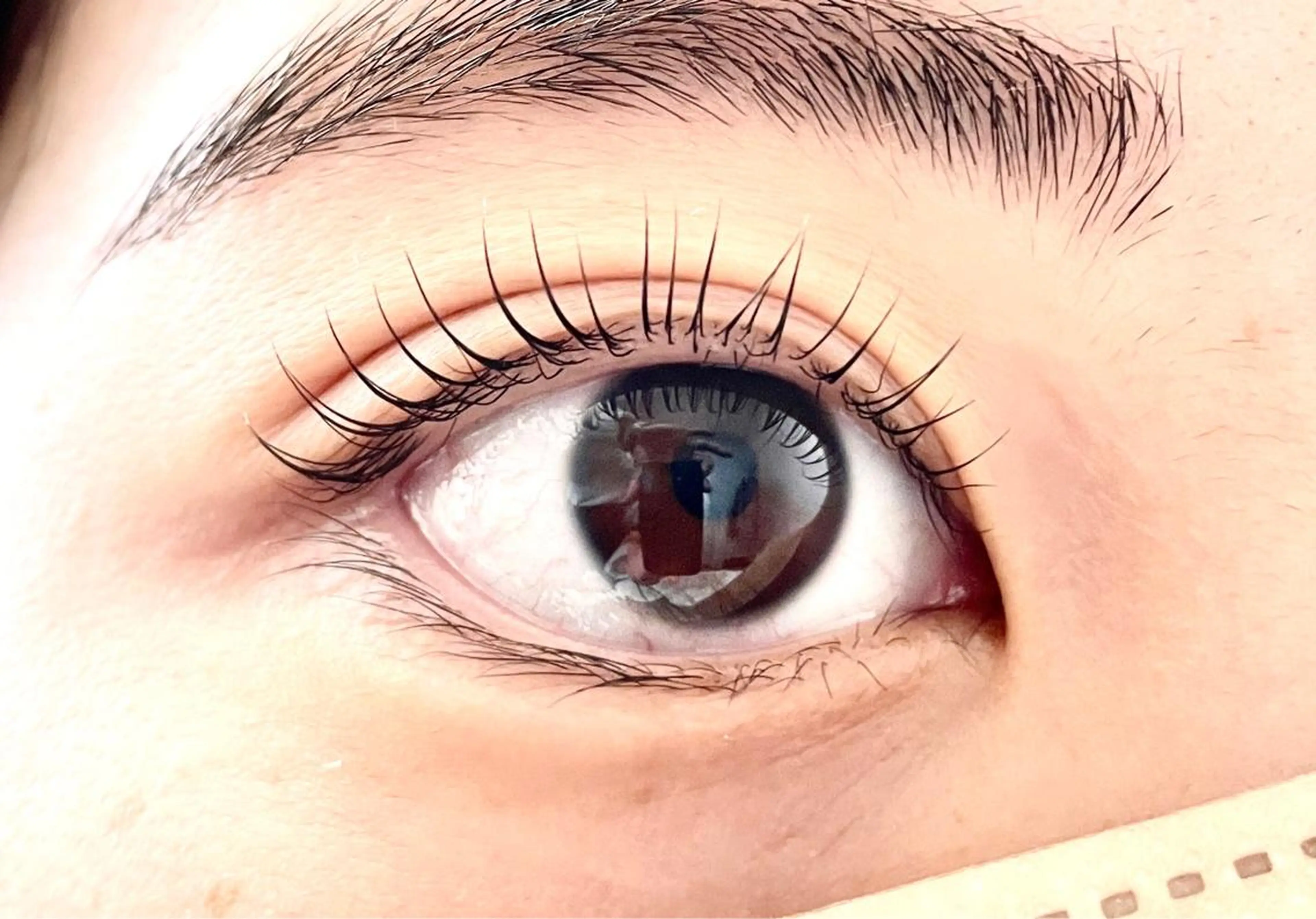 マツエク・マツパ マツパ Shinus シャイナスのマツエク・マツパデザイン