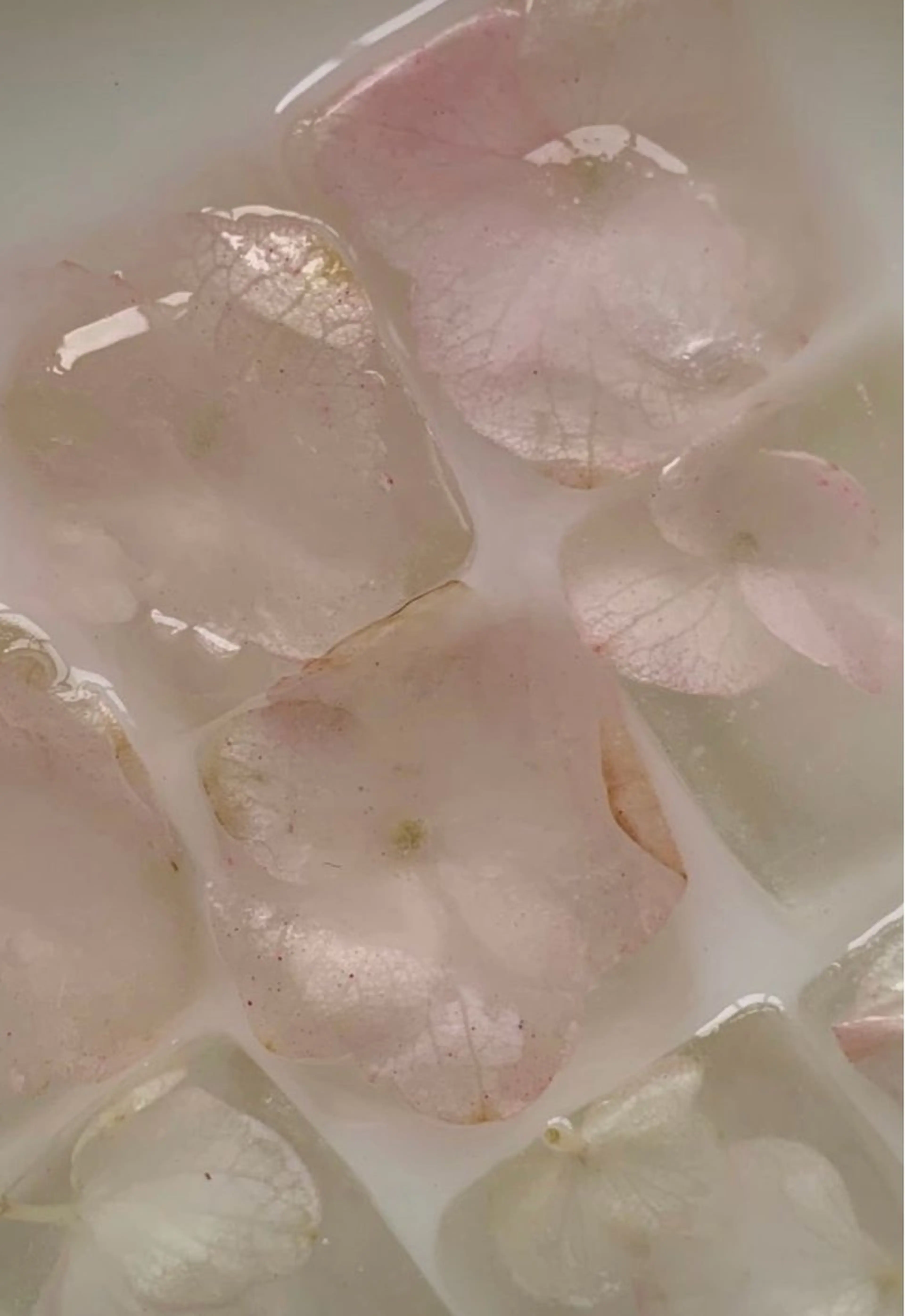 アイブロウ 眉カラー 眉毛ワックス脱毛 その他(アイブロウ) eyelly🌿 nanaの眉毛・アイブロウイメージ