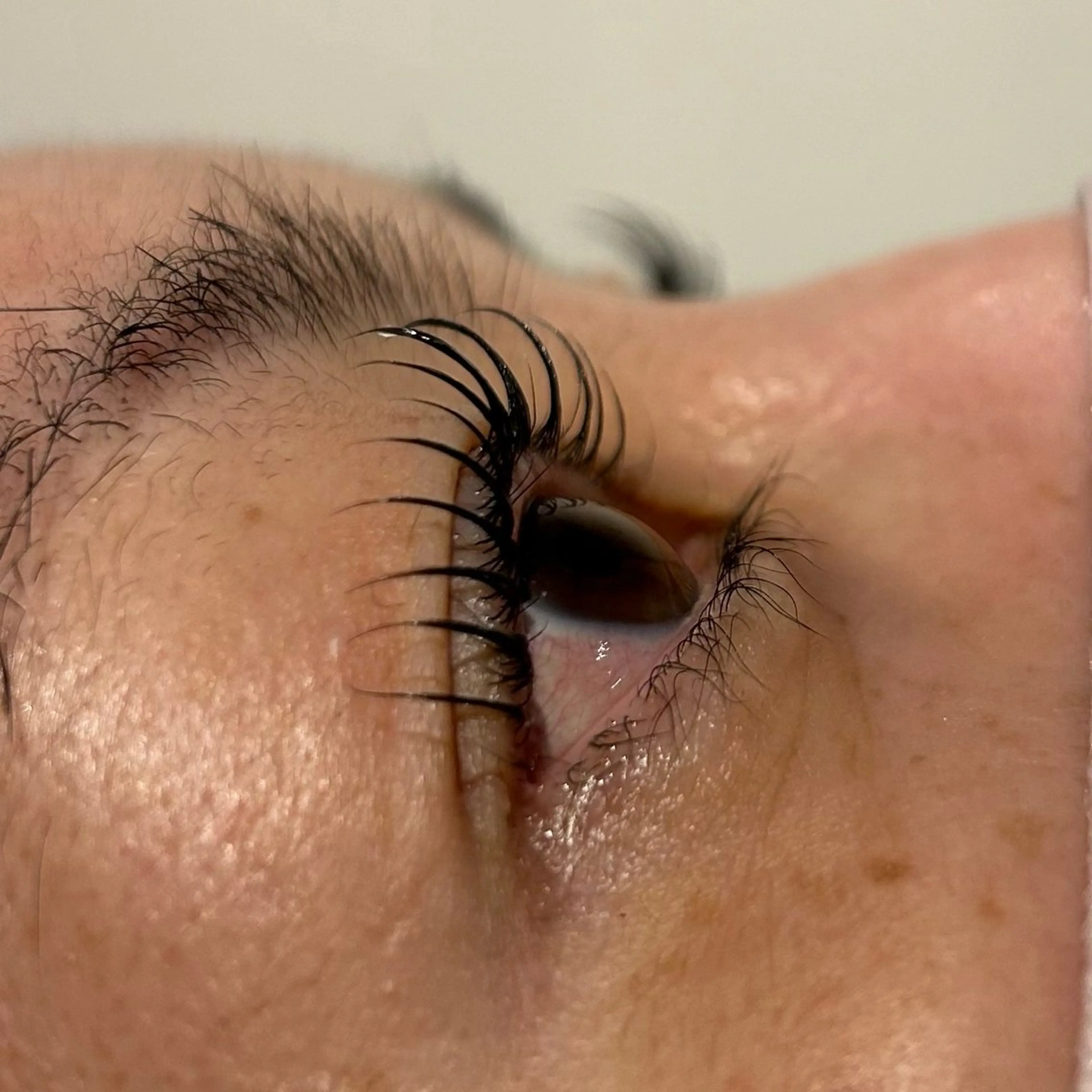 マツエク・マツパ マツパ アカマ レナのマツエク・マツパデザイン