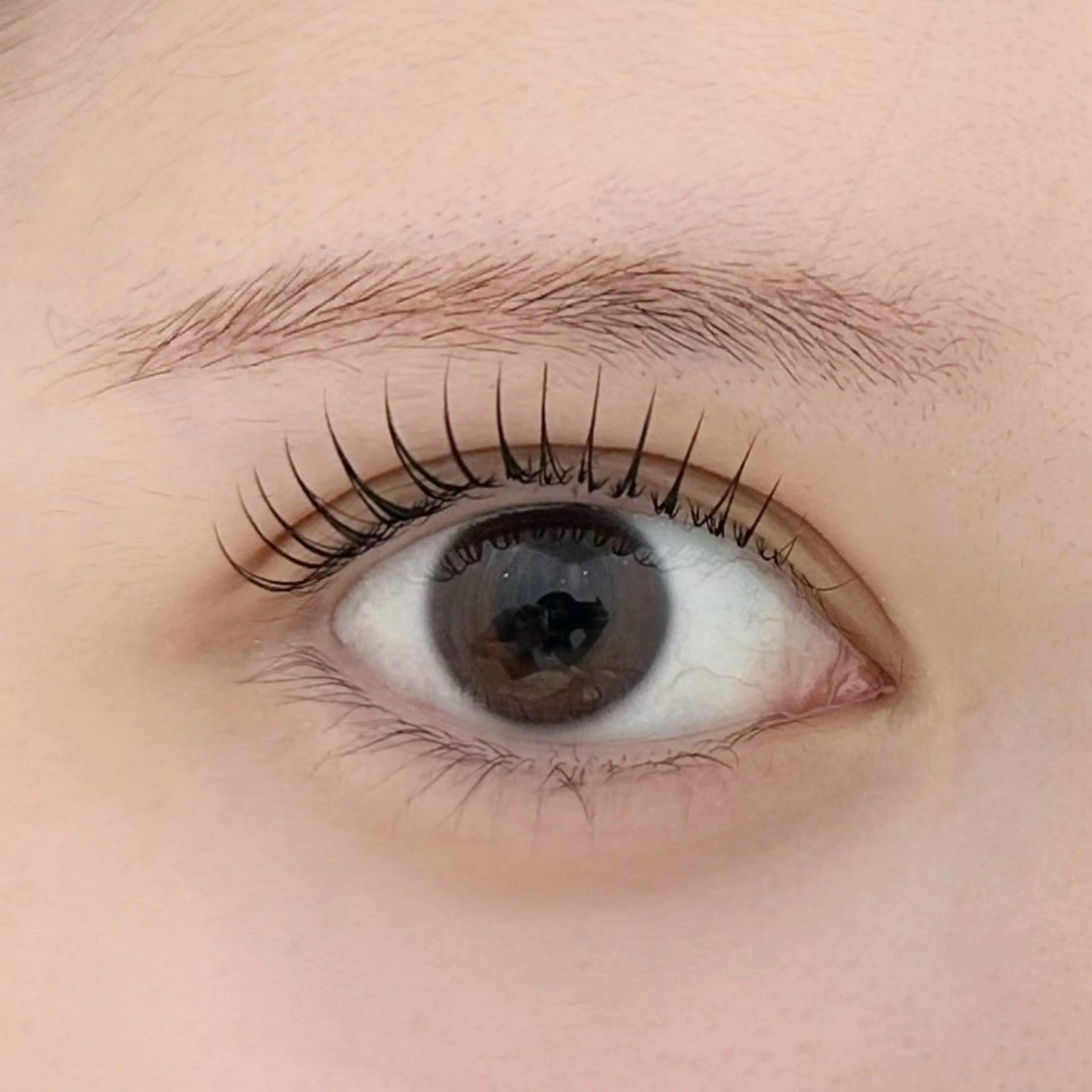 【10.11月限定】まつ毛パーマෆ˚*高濃度トリートメント＆コーティング仕上げの写真