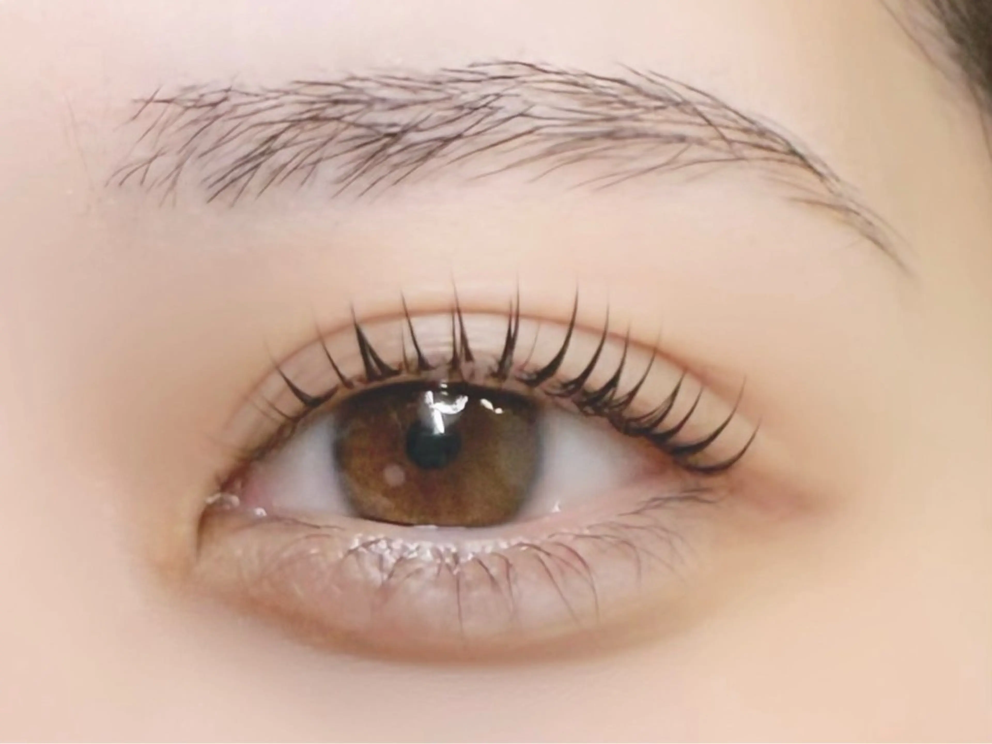 まつ毛パーマ+ケラチン配合トリートメント¥6000の写真