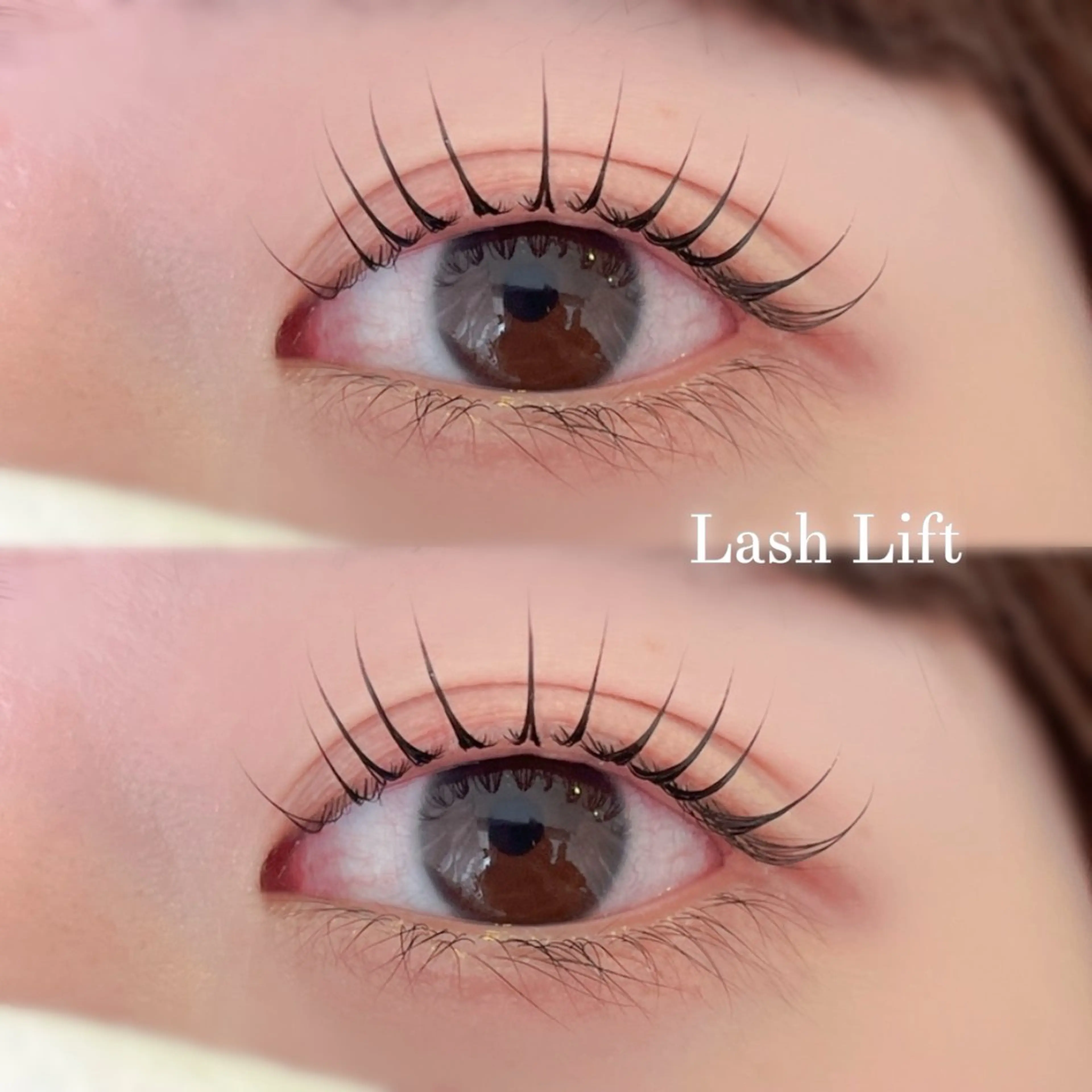 ❤️🔥12月限定❤️🔥✨【まつ毛パーマ】✨の写真