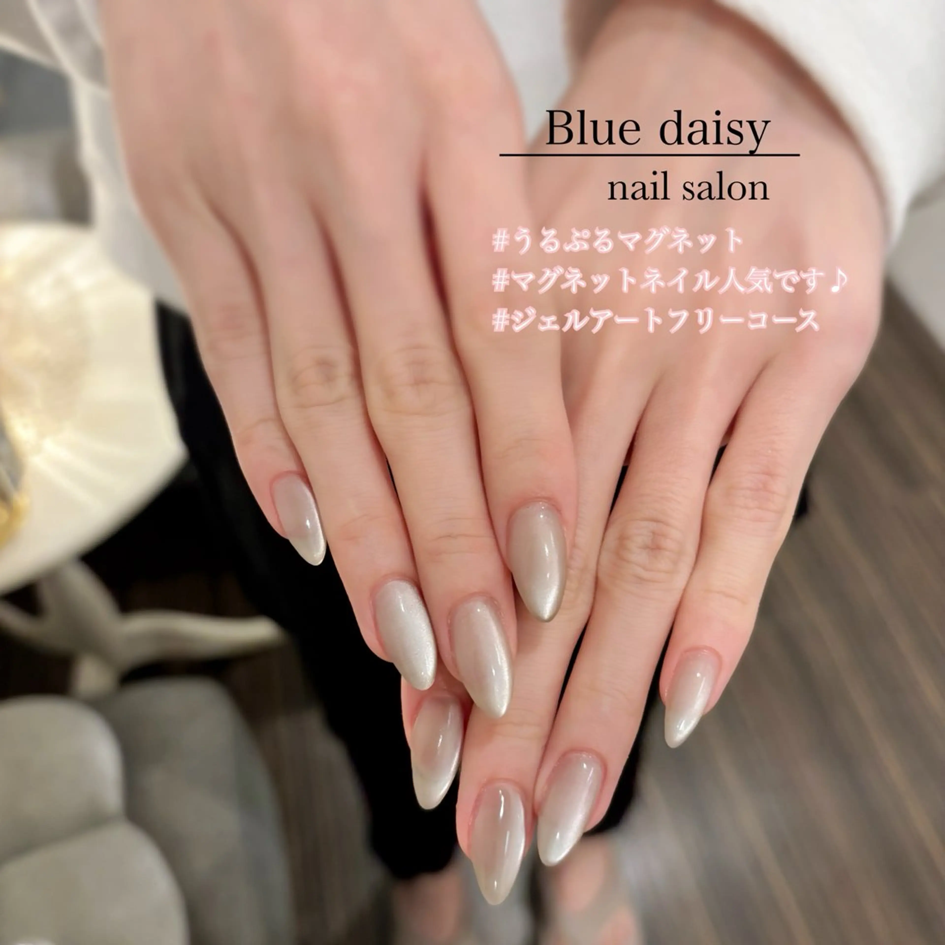 ネイル ジェルネイル マグネットネイル 持ち込み パラジェル ハンドネイル Blue　daisy　栄本店 【ブルーデイジー】所属・Blue daisy 栄本店のネイルデザイン