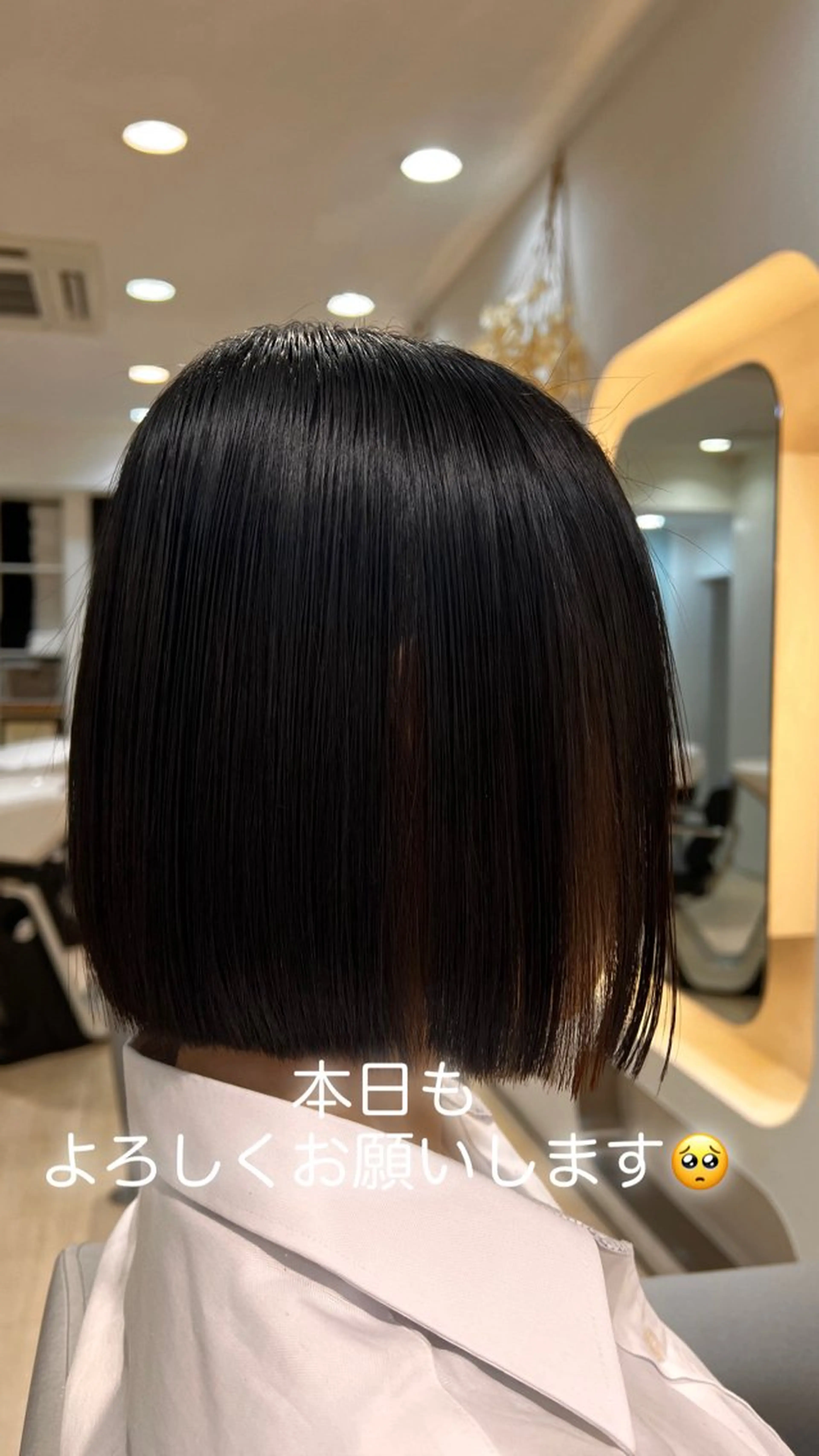 ショート カラー カット 堀井 凌平のヘアスタイル