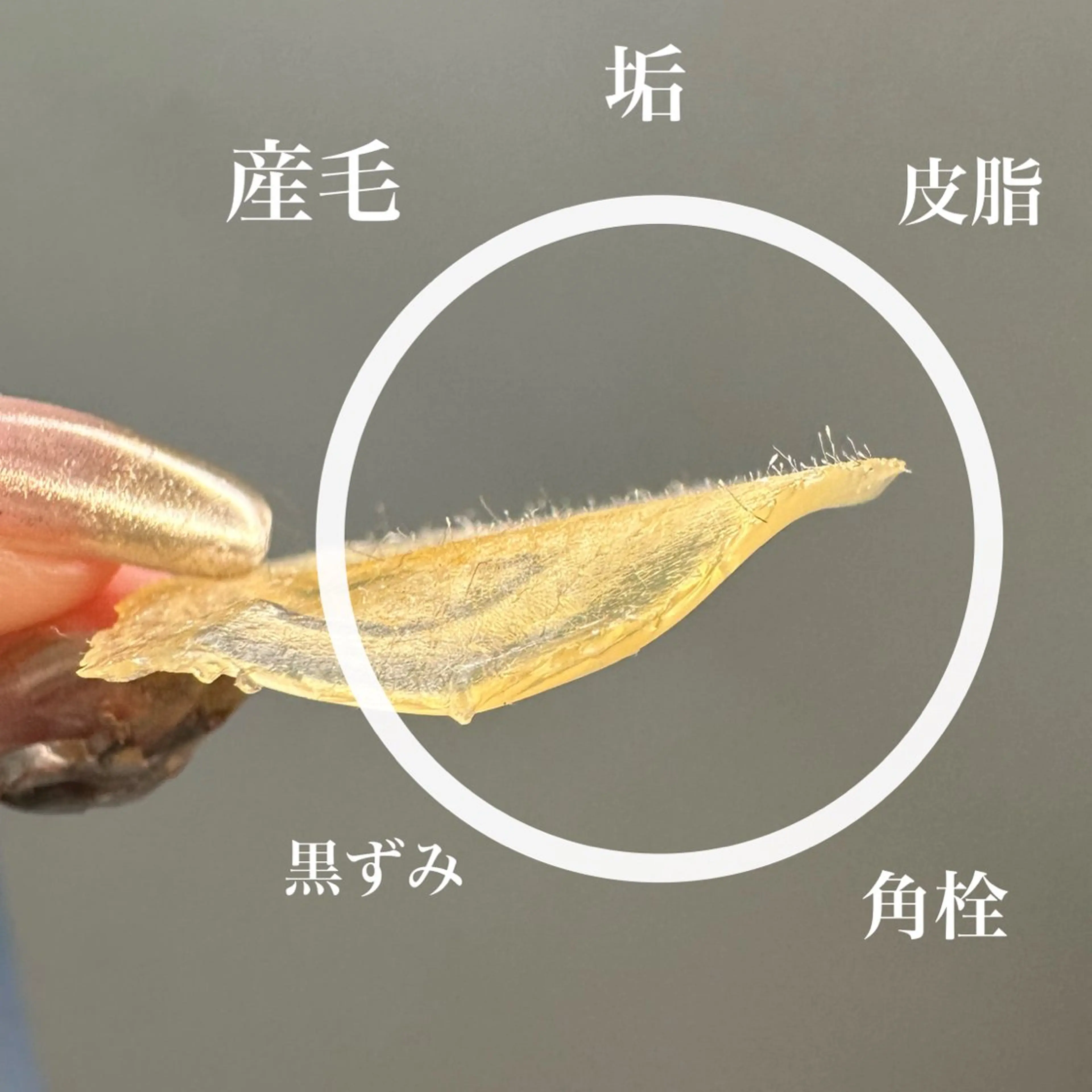 Beauty  Salon Family所属・ビューティーサロン ファミリーのエステ・リラクイメージ