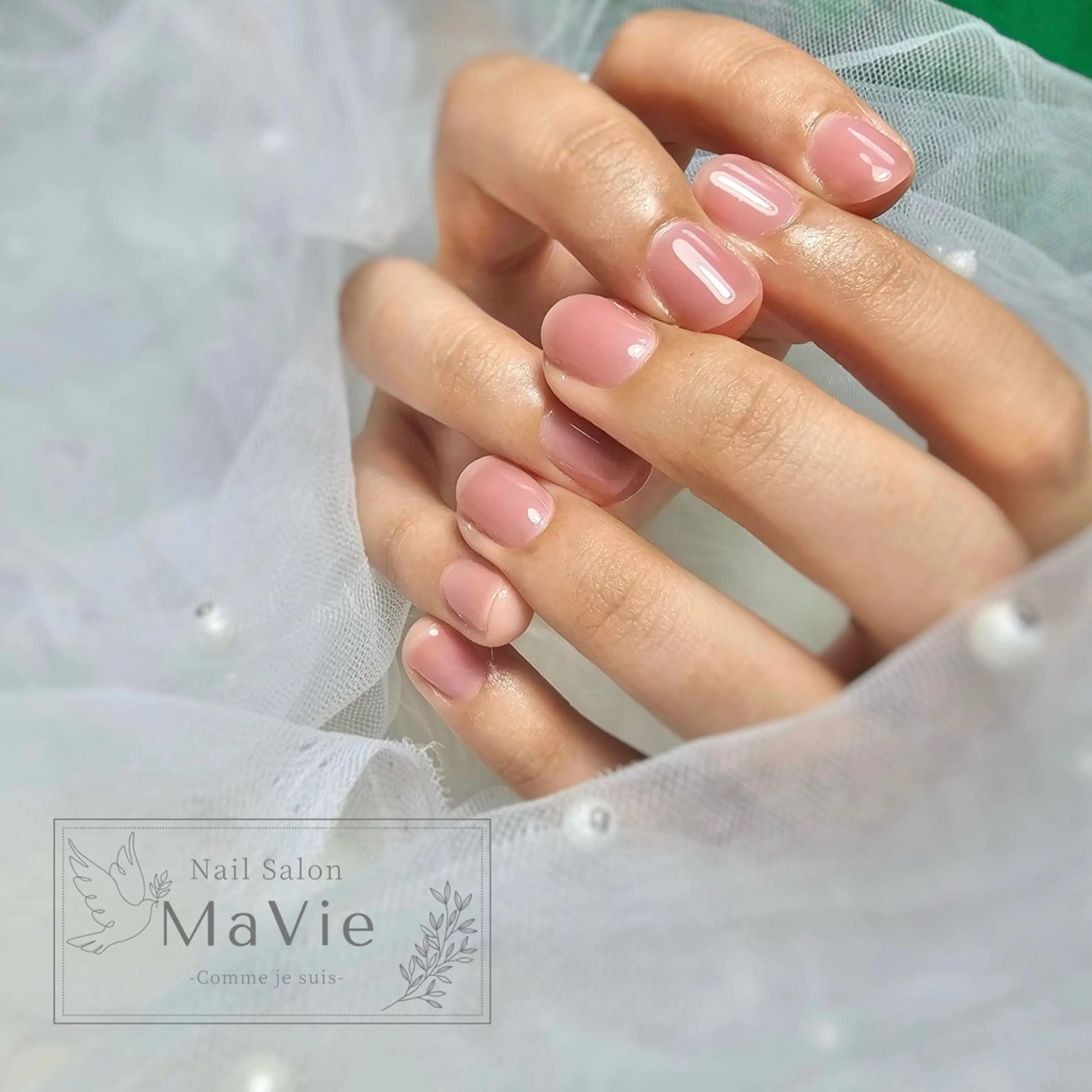 ワンカラー(オフあり)の写真