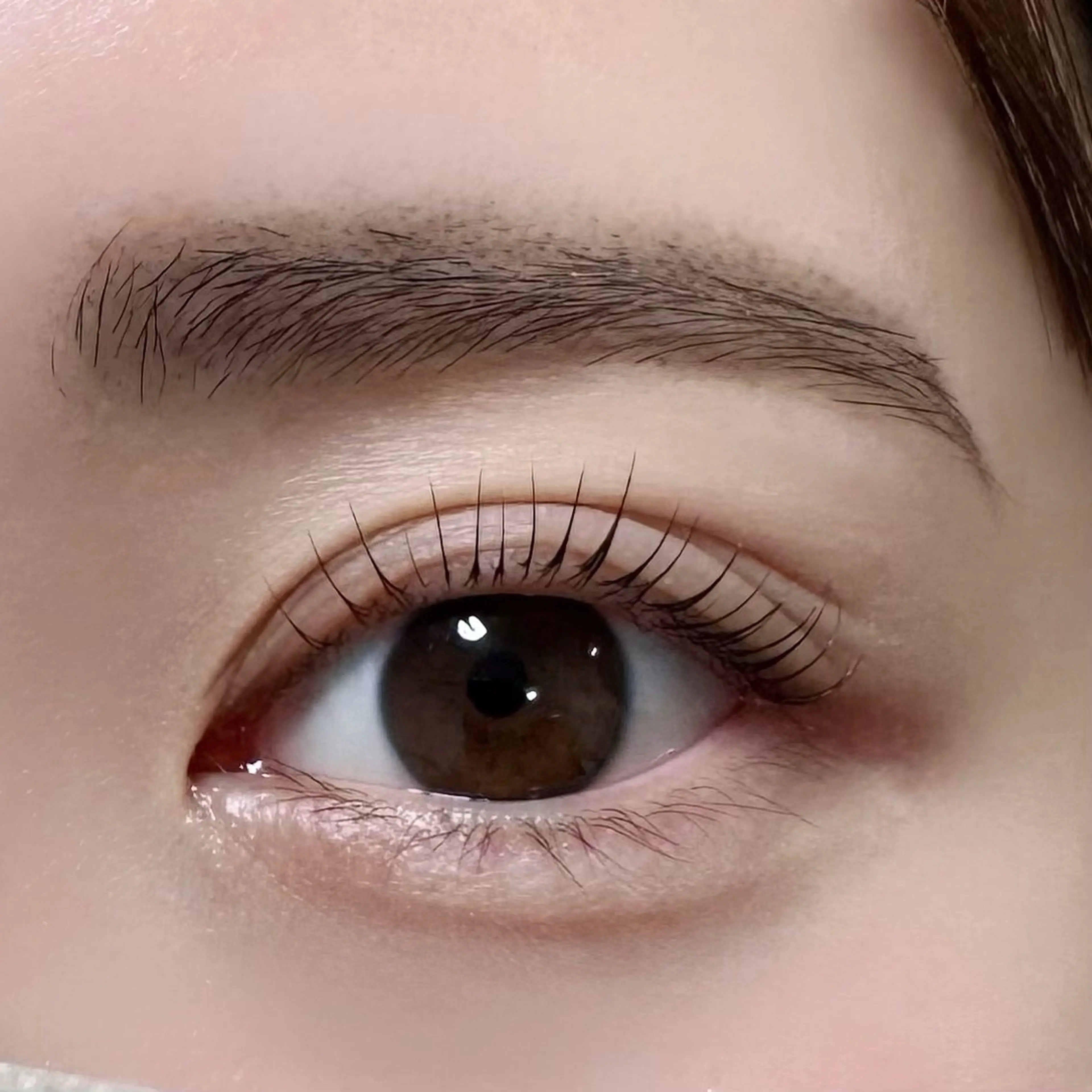 マツエク・マツパ マツパ GO TODAY 渋谷Lit店所属・渋谷/お悩み解決𓍯 TOKUKOのマツエク・マツパデザイン