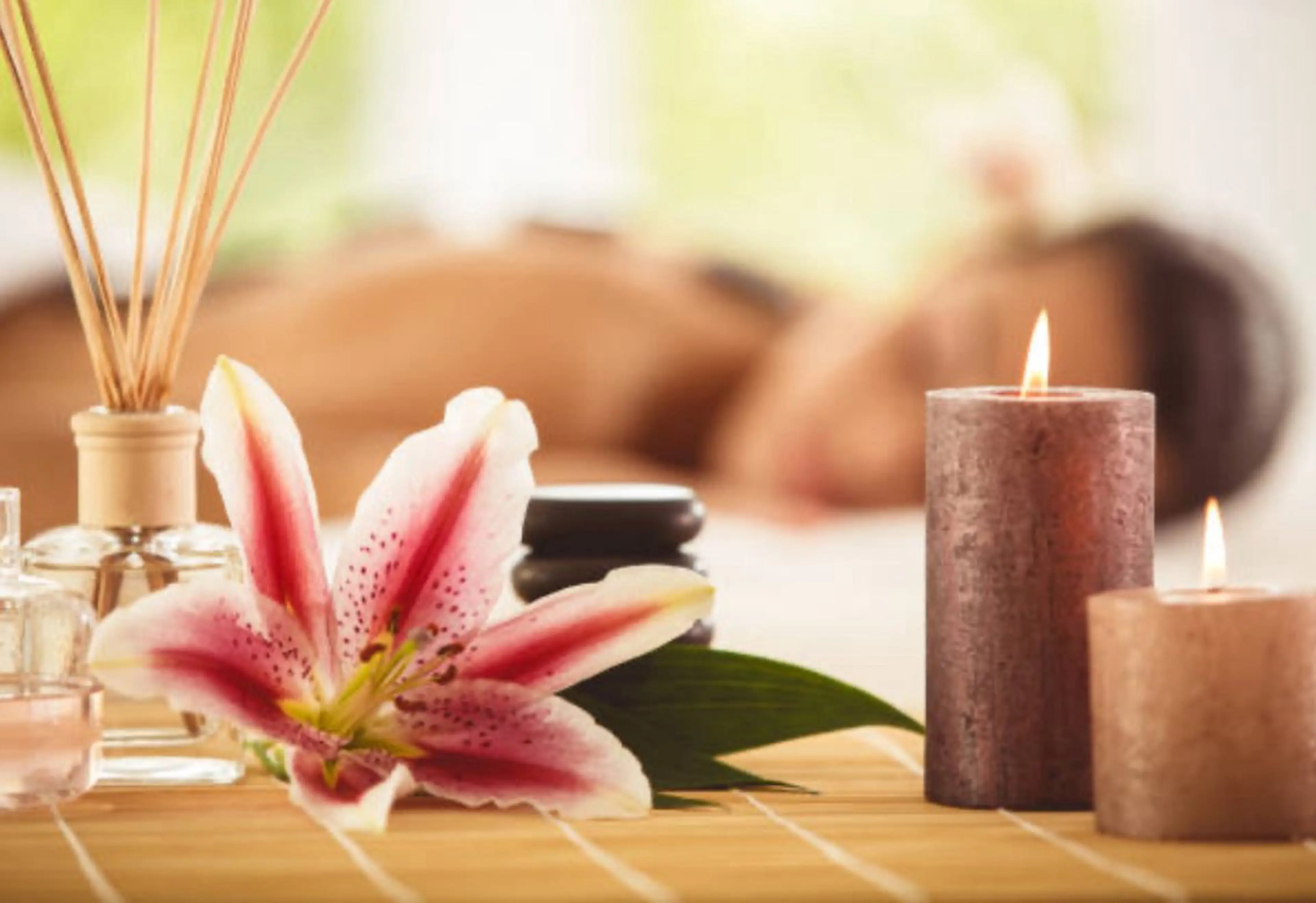 リラク めぐらせの 森のその他イメージ