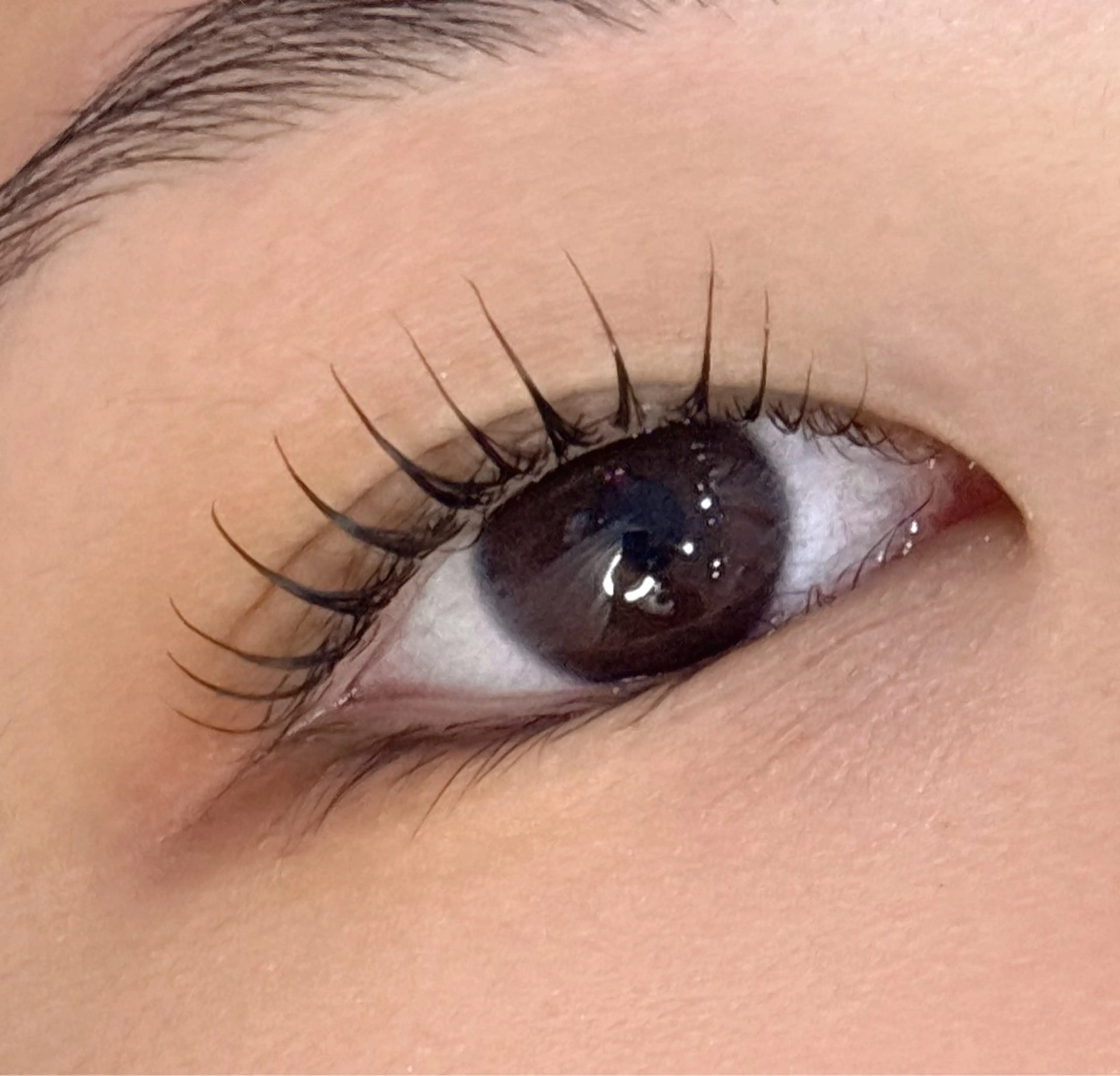 マツエク・マツパ Poppo所属・poppo有働 ひかりのマツエク・マツパデザイン