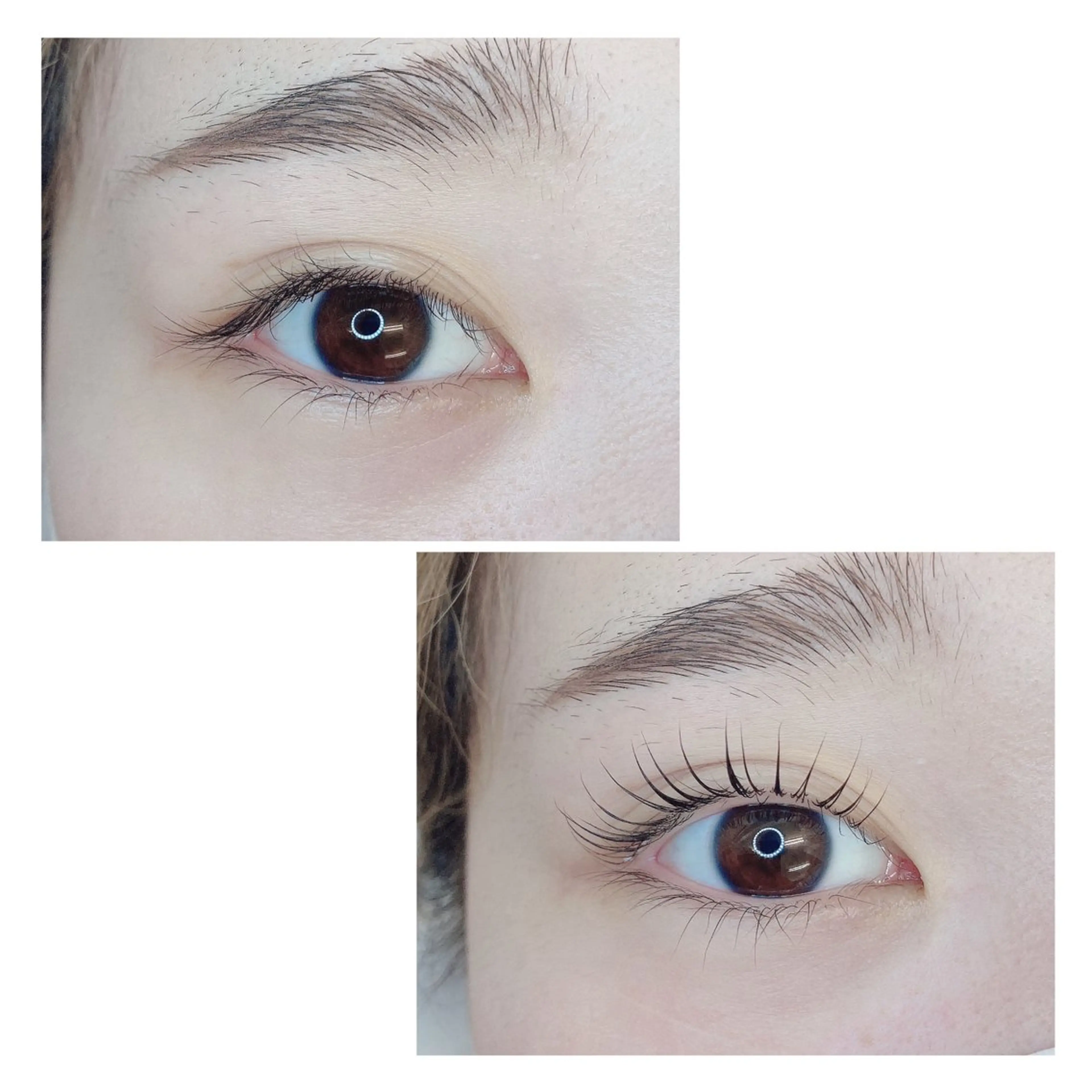 マツエク・マツパ TIARA池袋西口店 店長YASUKA💐のマツエク・マツパデザイン