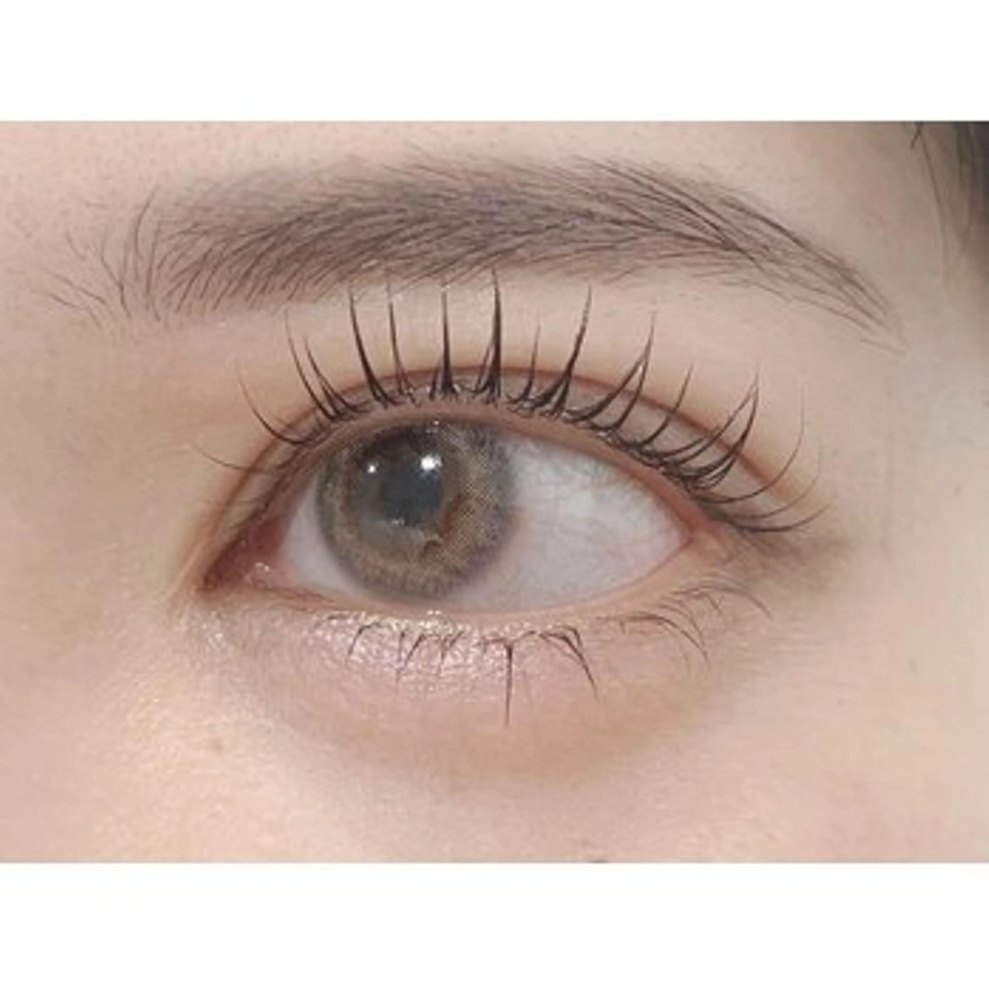 🩵ご新規様限定平日17時まで🩵まつ毛パーマカールタイプ上下60分【￥3660】の写真