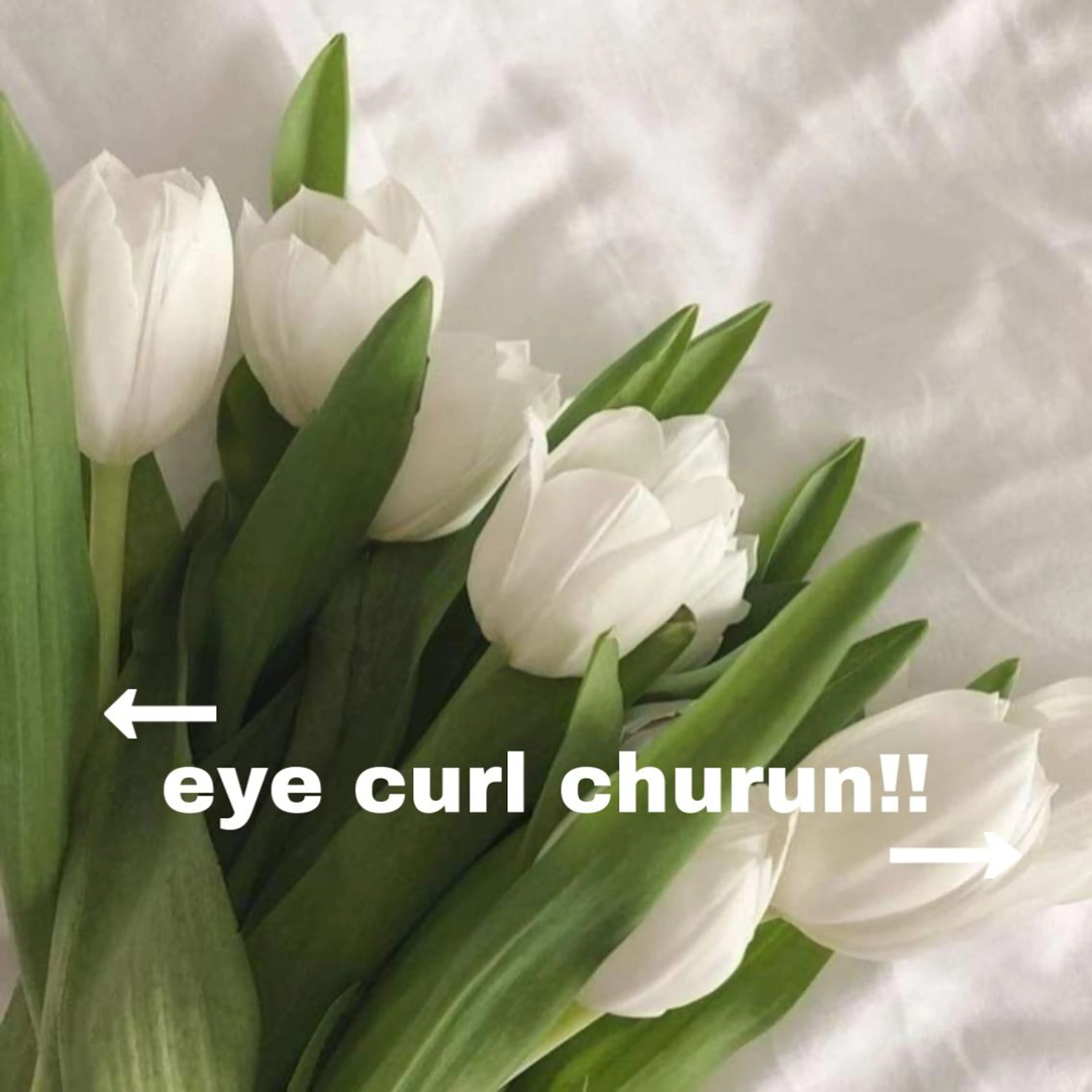 マツエク・マツパ マツパ ブリーチ・ツヤ髪特化 レイヤー🥝ルナのヘアスタイル