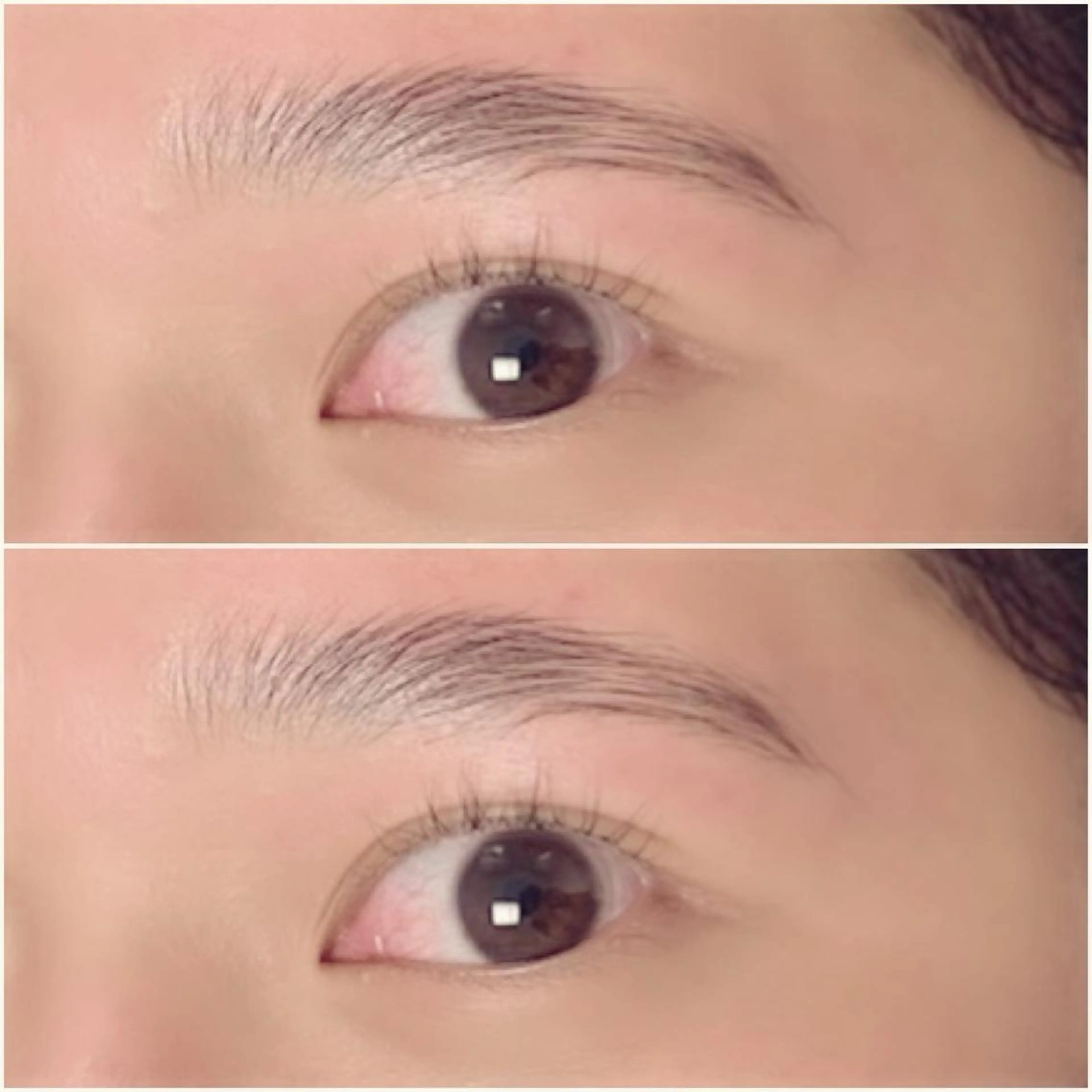 アイブロウ ハリウッドブロウリフト HBL/眉毛専門 salonの眉毛・アイブロウイメージ