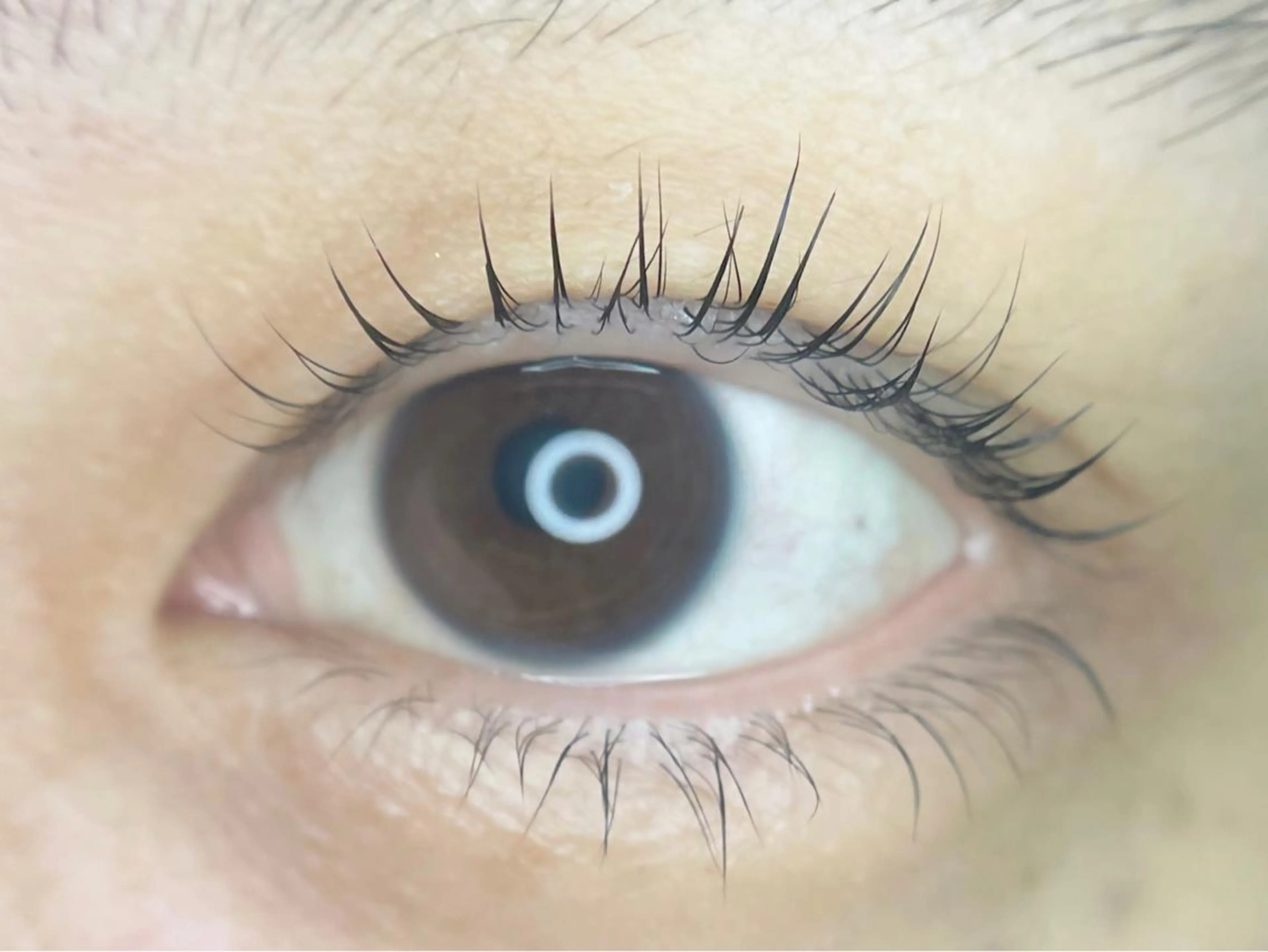 マツエク・マツパ 一重×まつ毛パーマ irie hair &　eyelash所属・irie(ｱｲﾘｰ) hair&eyeのマツエク・マツパデザイン