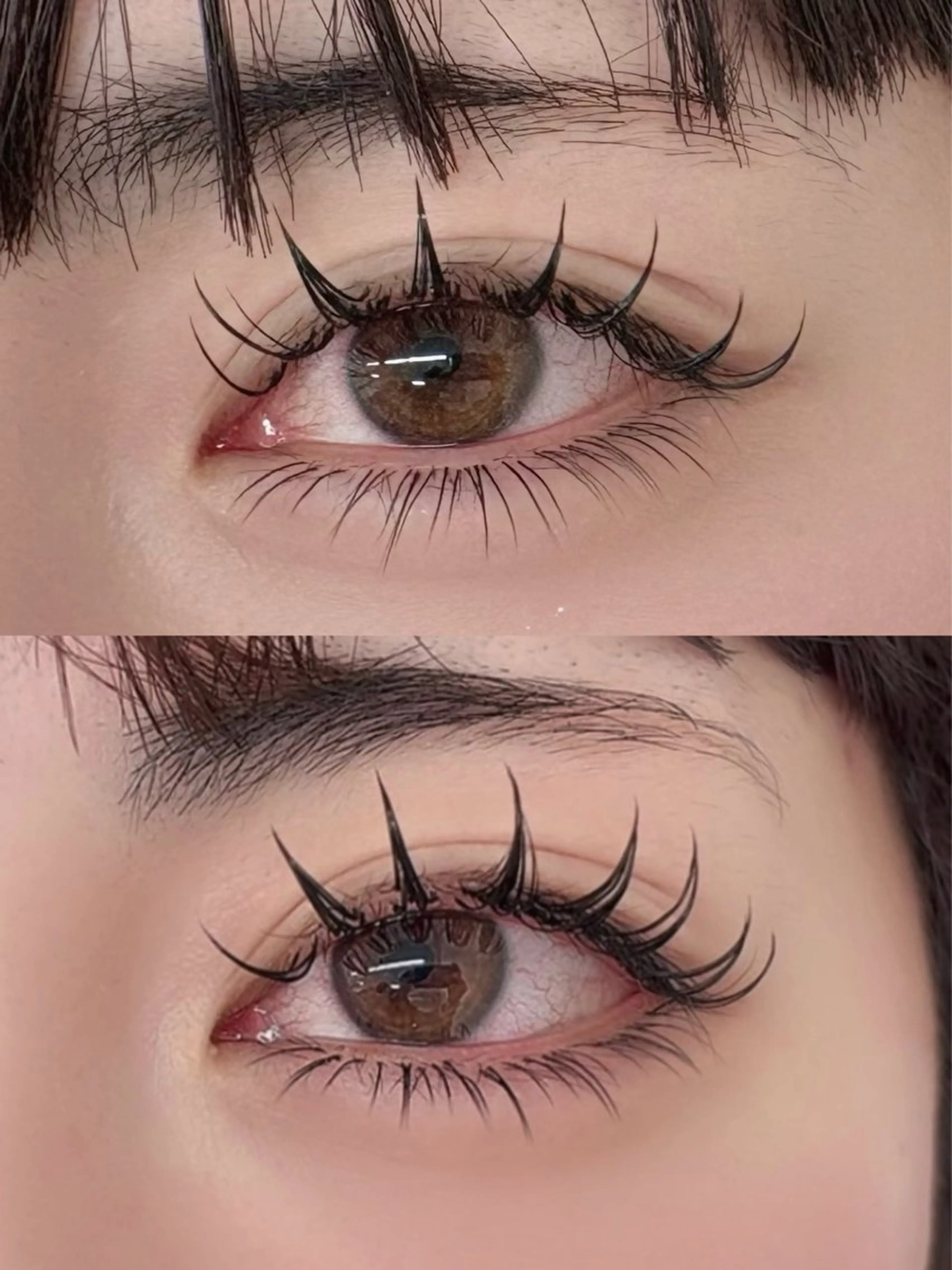 マツエク・マツパ キュート Dカール マツエク A.MEYELASH SALON大久保店のマツエク・マツパデザイン