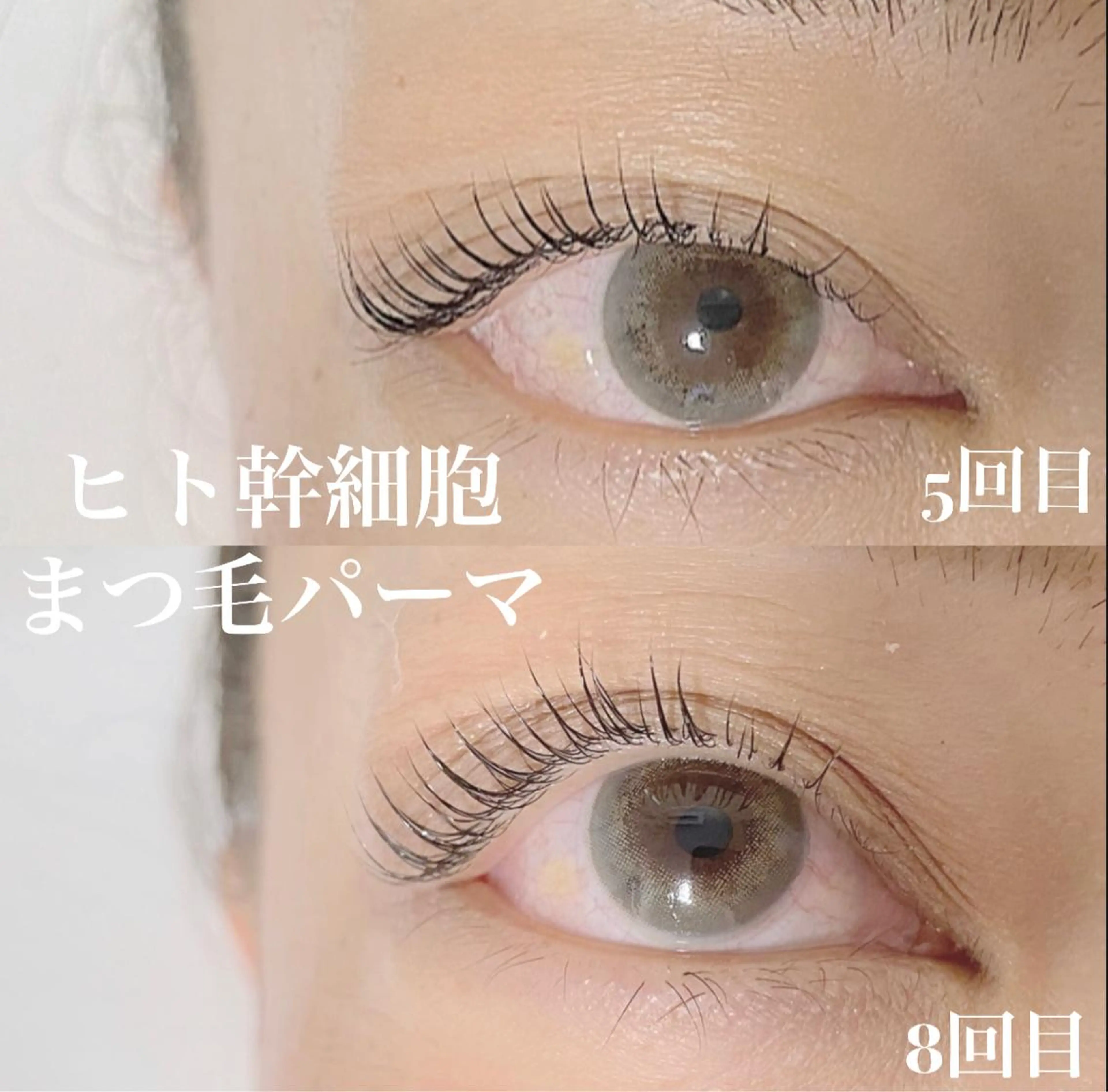 マツエク・マツパ 一重×まつ毛パーマ Anela Beauty Salon所属・Anela 博多/春吉のマツエク・マツパデザイン