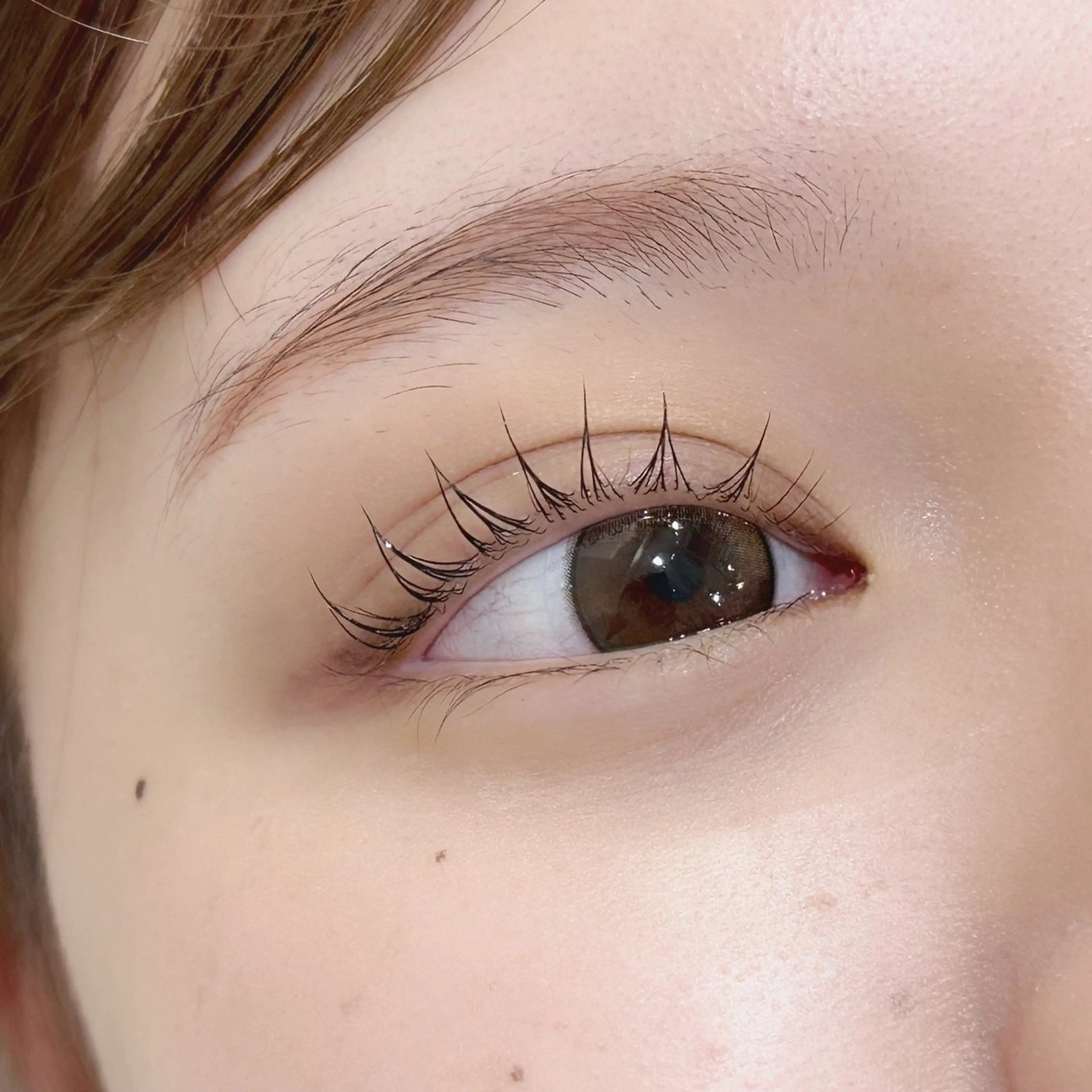 🧚🏼‍♀️韓国束感まつげパーマ🧚🏼‍♀️の写真