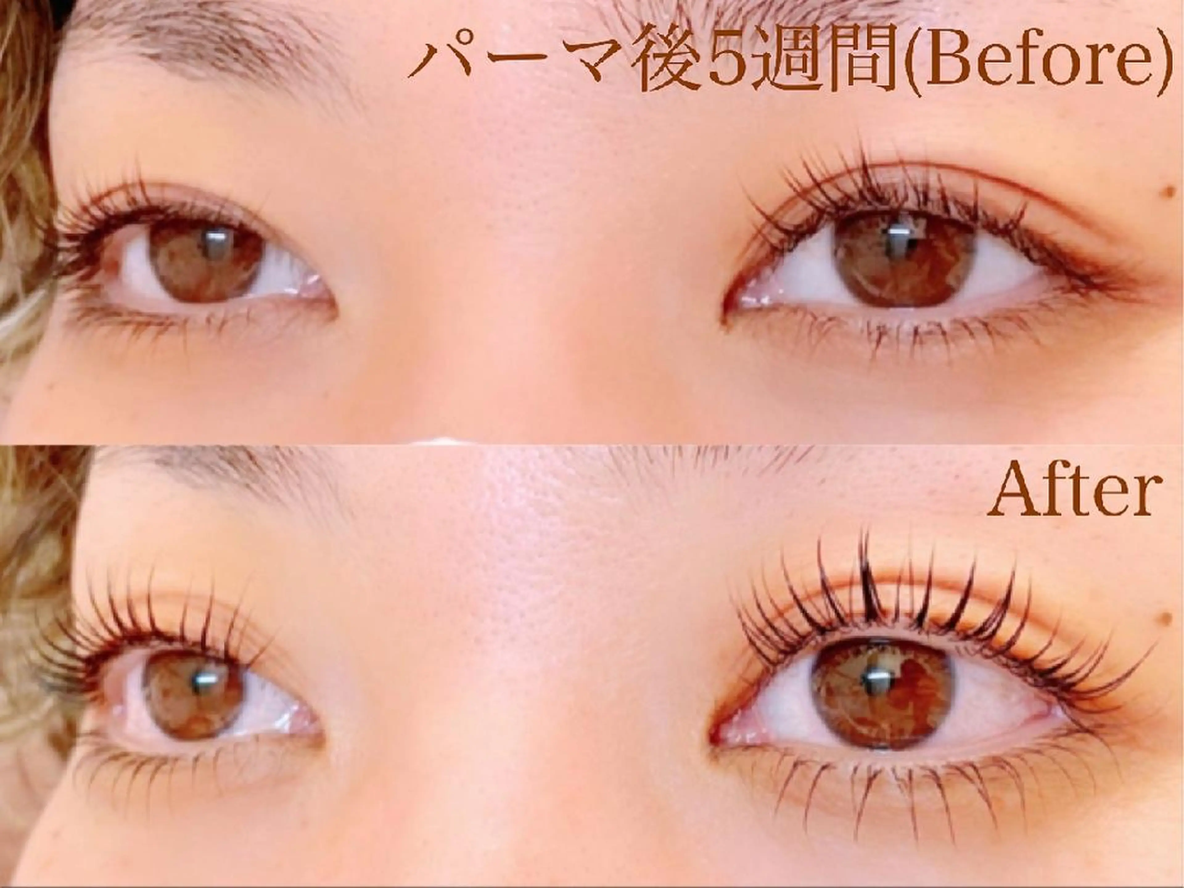 マツエク・マツパ まつげパーマ Ryoko 南草津のマツエク・マツパデザイン