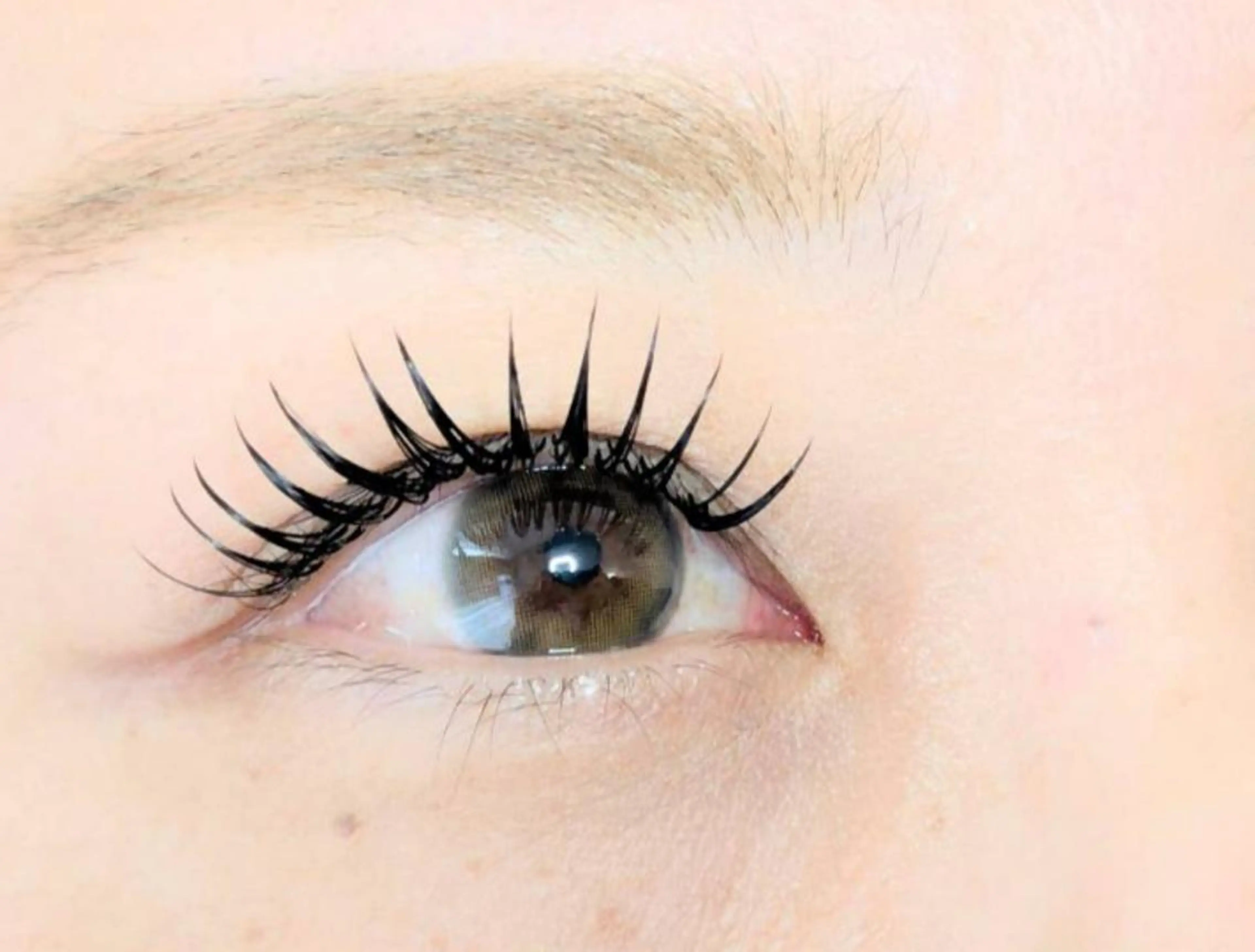 マツエク・マツパ Anela柏店 🐾Nagisa🐾のマツエク・マツパデザイン