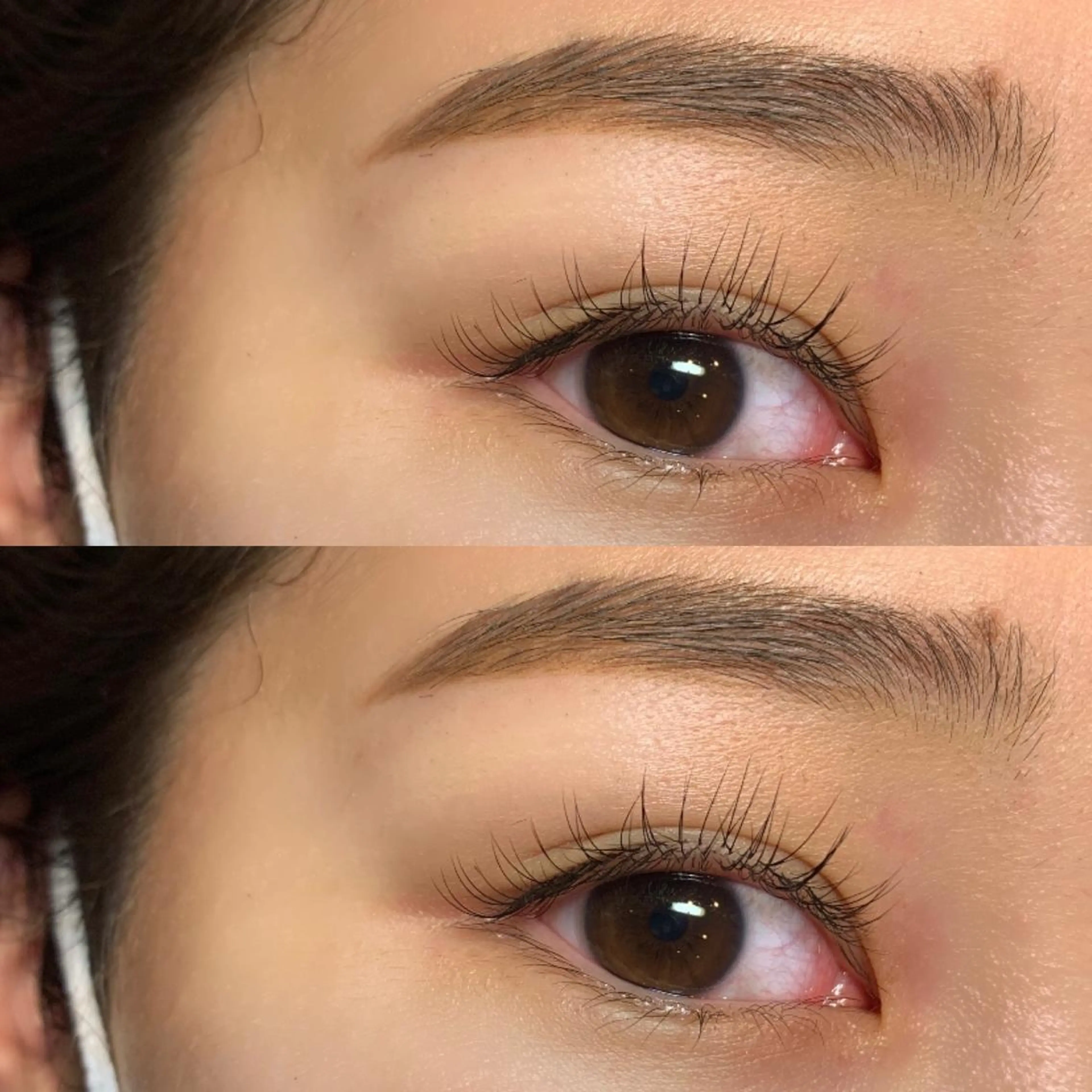 オフ込みセーブル100本の写真