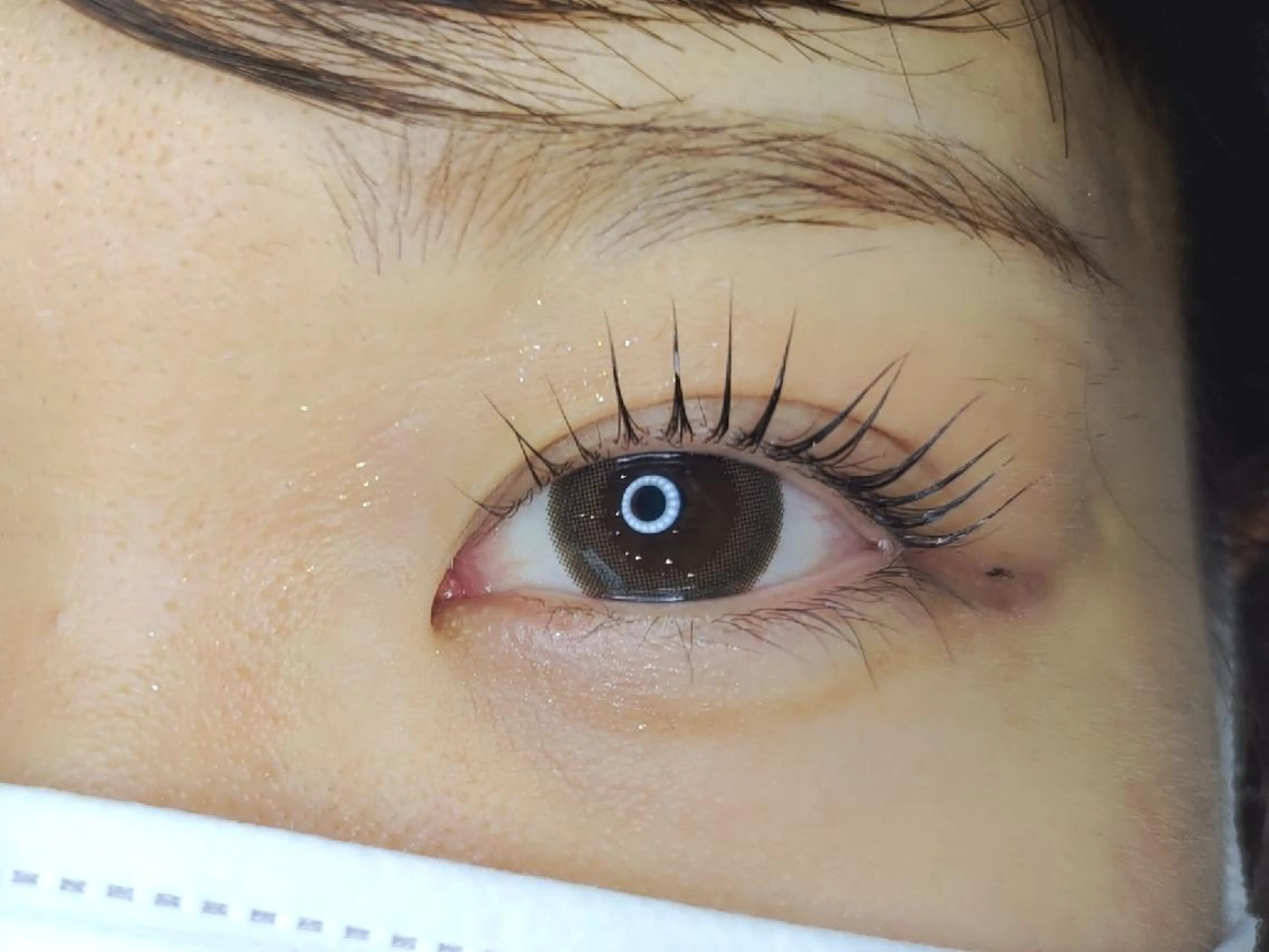 マツエク・マツパ パリジェンヌラッシュリフト マツパ STEEL所属・【STEEL】🦄 MASHIMA🦄のマツエク・マツパデザイン