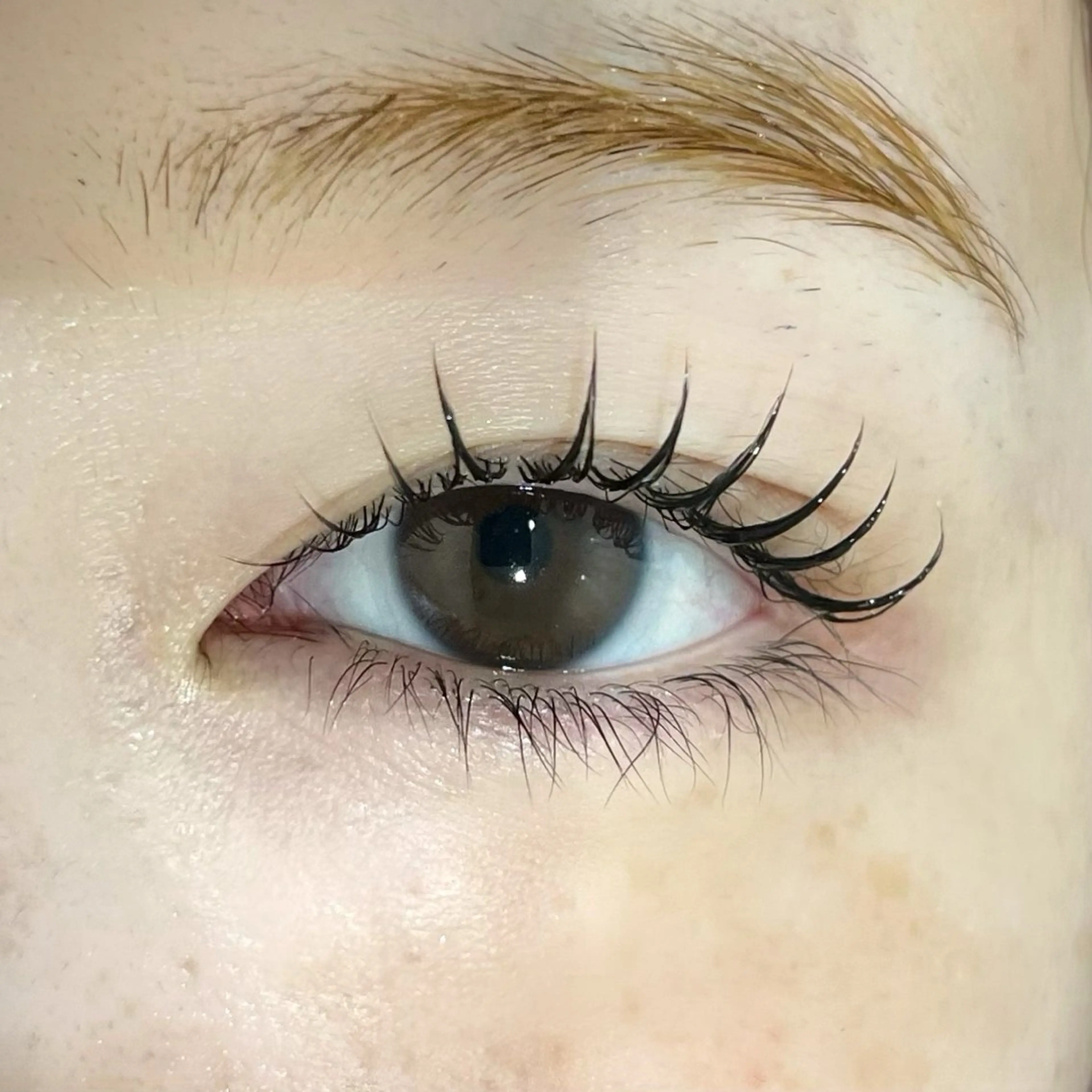 🫧当日限定🫧コーティング剤付きまつ毛パーマの写真