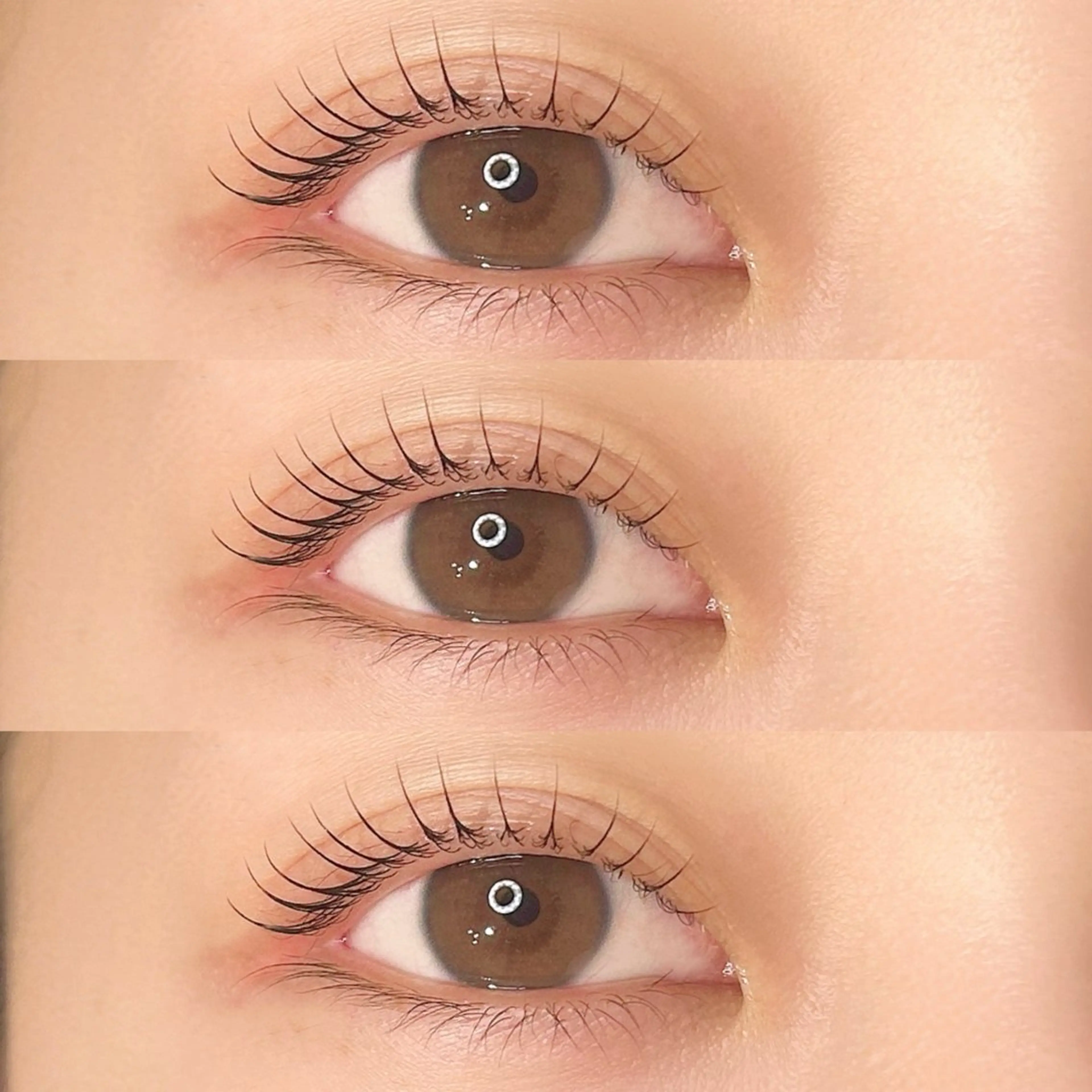 【リピーター様限定】パリジェンヌラッシュリフトorまつ毛パーマ　💕🎀(コーティング付き)の写真