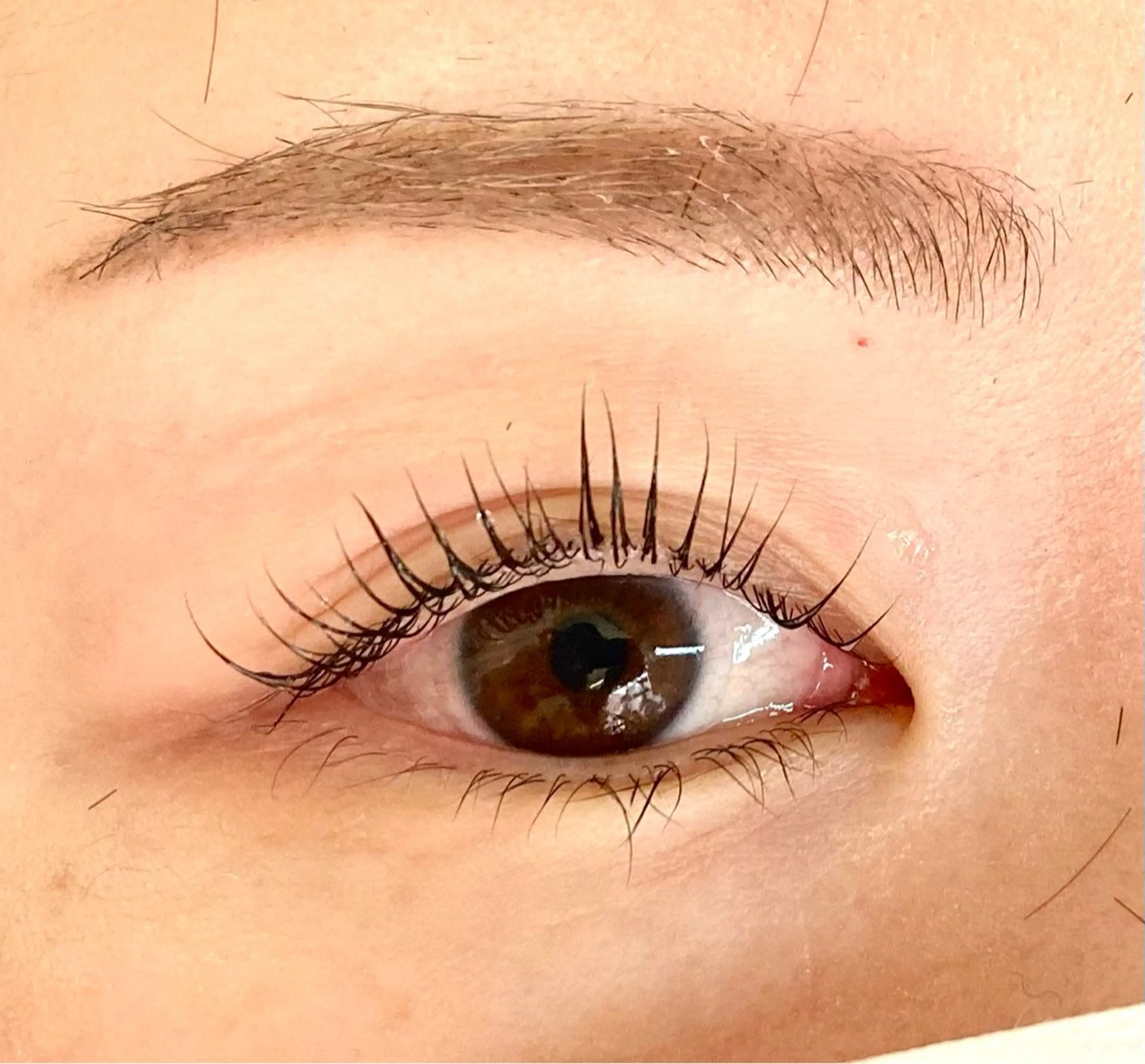 マツエク・マツパ マツパ handsemu EYELASHのマツエク・マツパデザイン