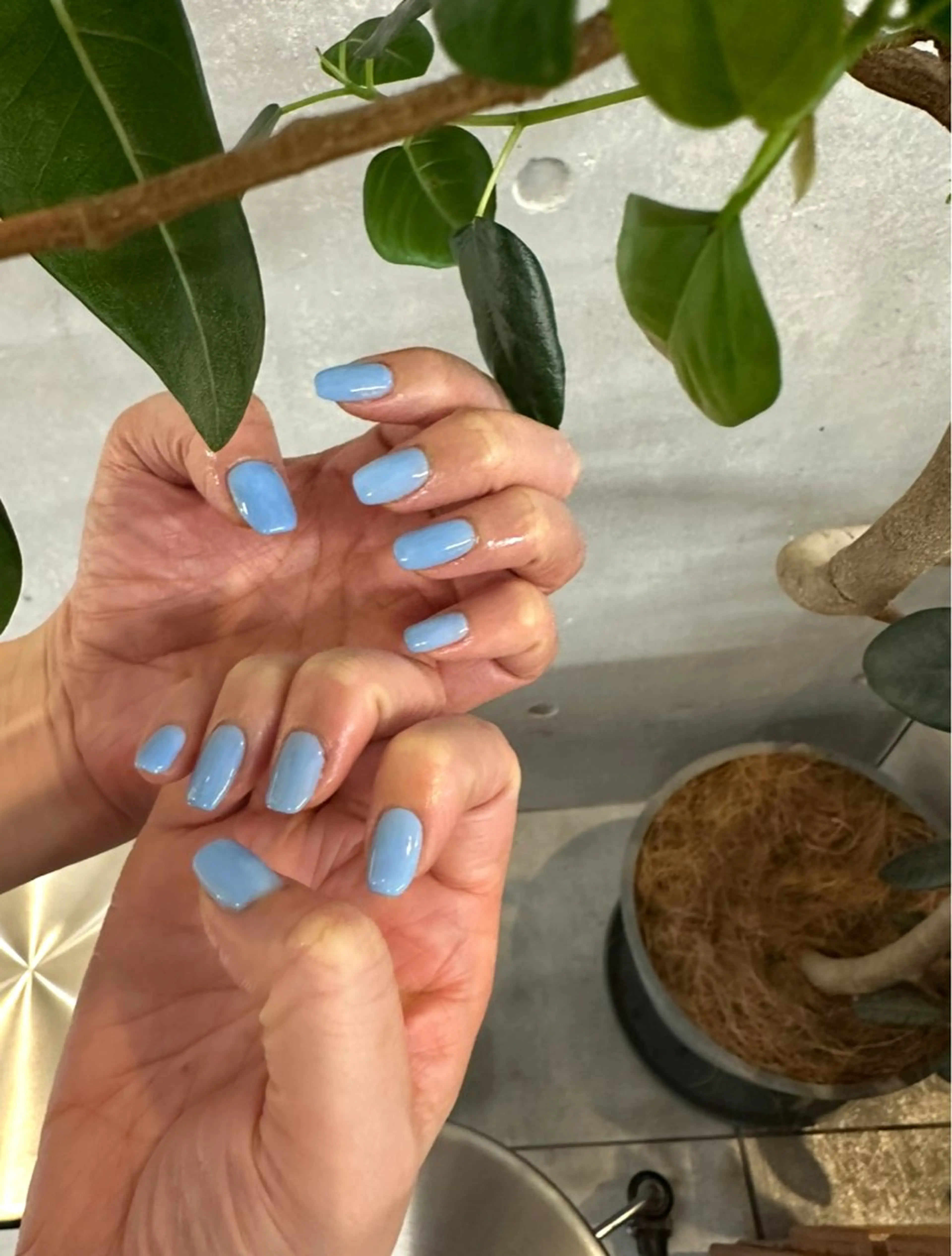 ネイル ワンカラーネイル fukuyasu rikaのネイルデザイン