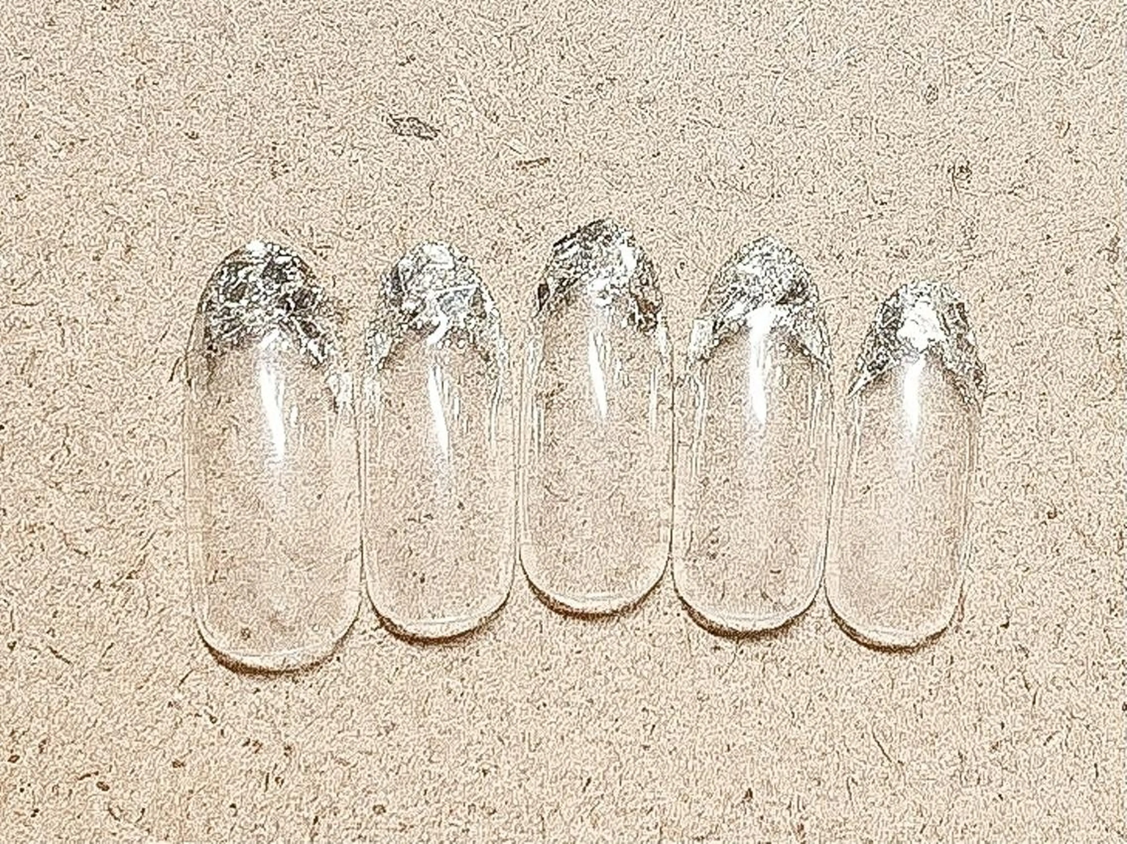 ネイル フレンチネイル ガラスフレンチ ハンドネイル candy nail所属・早川 理沙のネイルデザイン