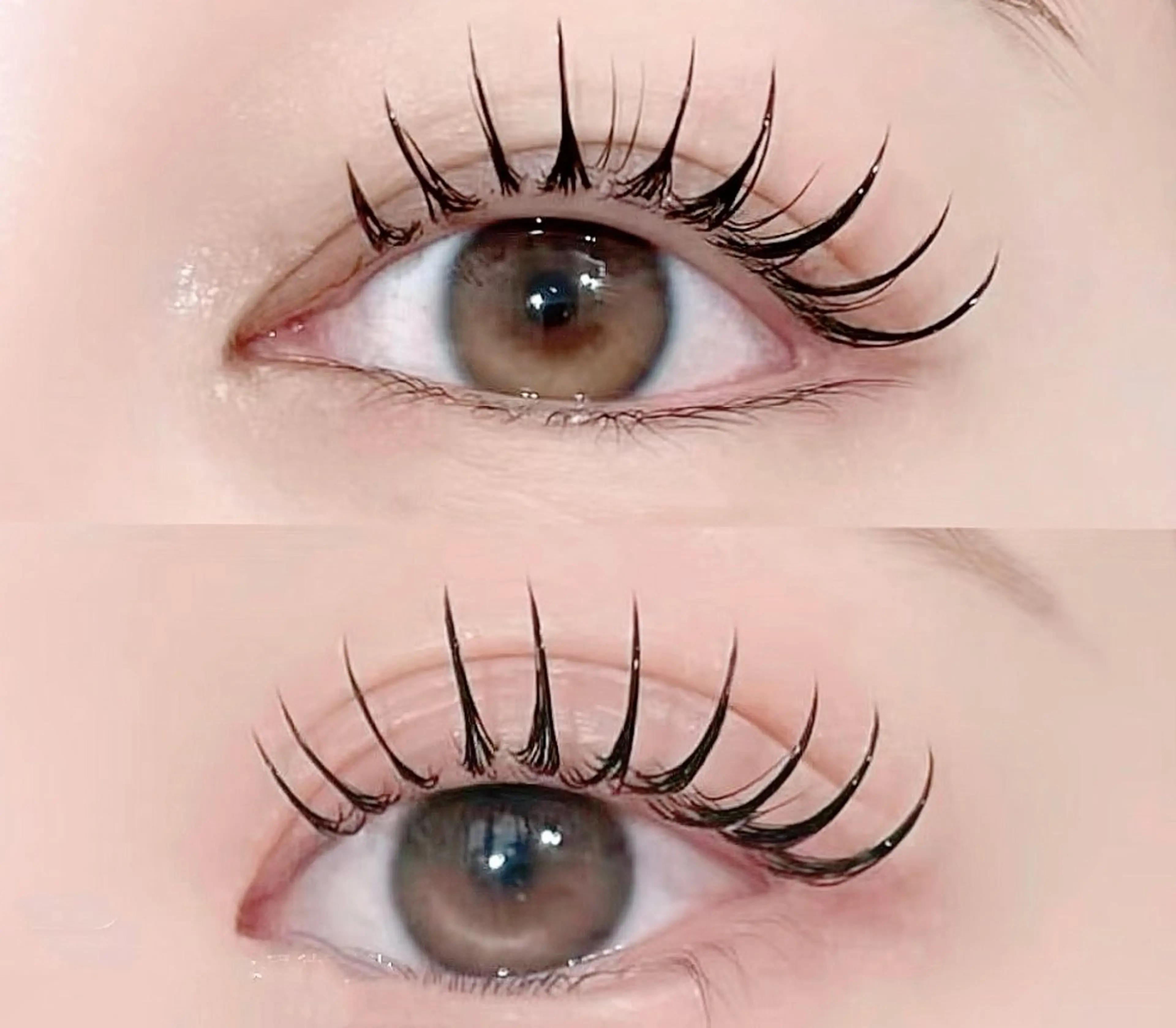 🉐本日16時30分​〜​パリエク(付け足し不可)の写真