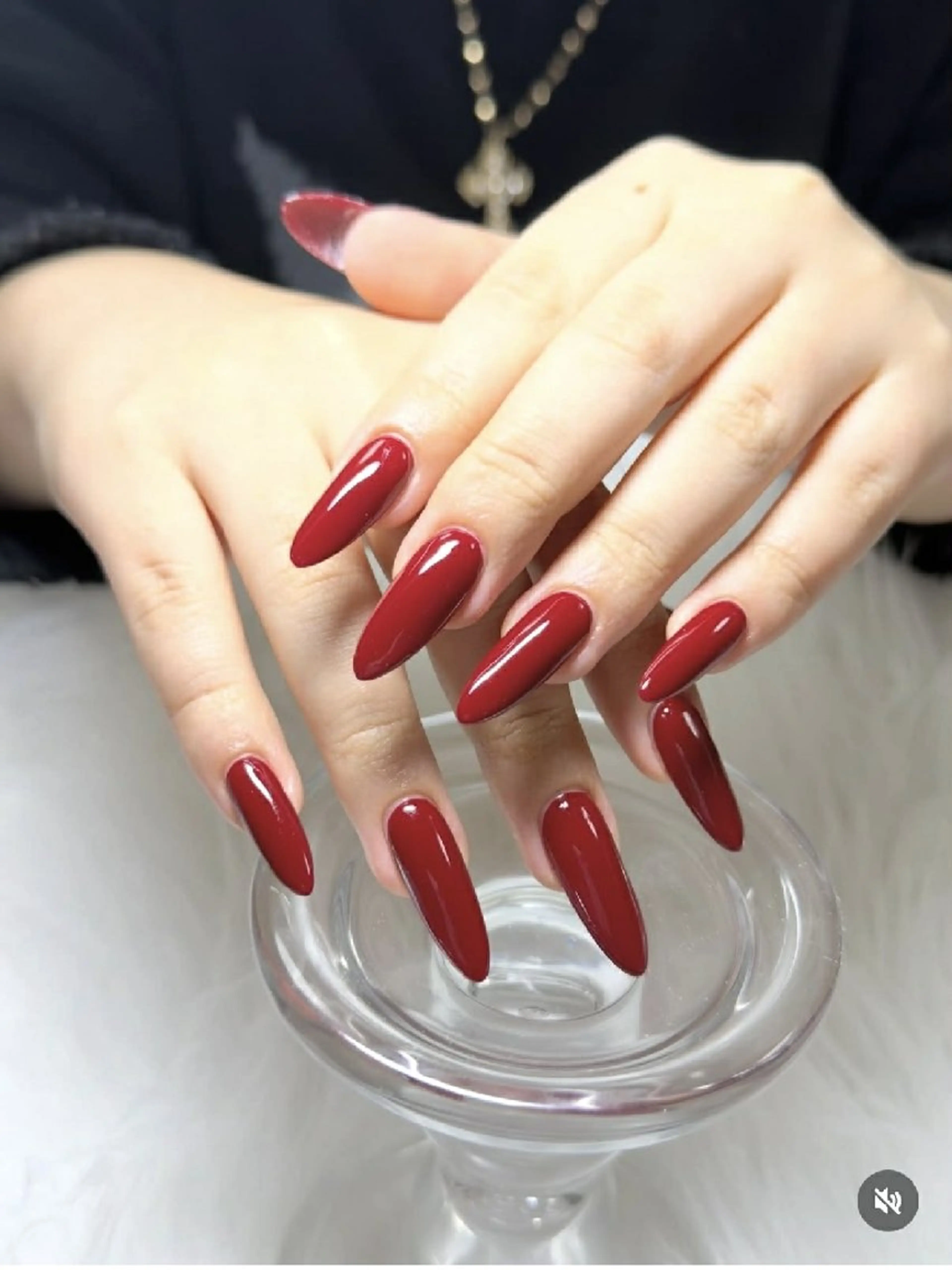 ワンカラー　オフありの写真