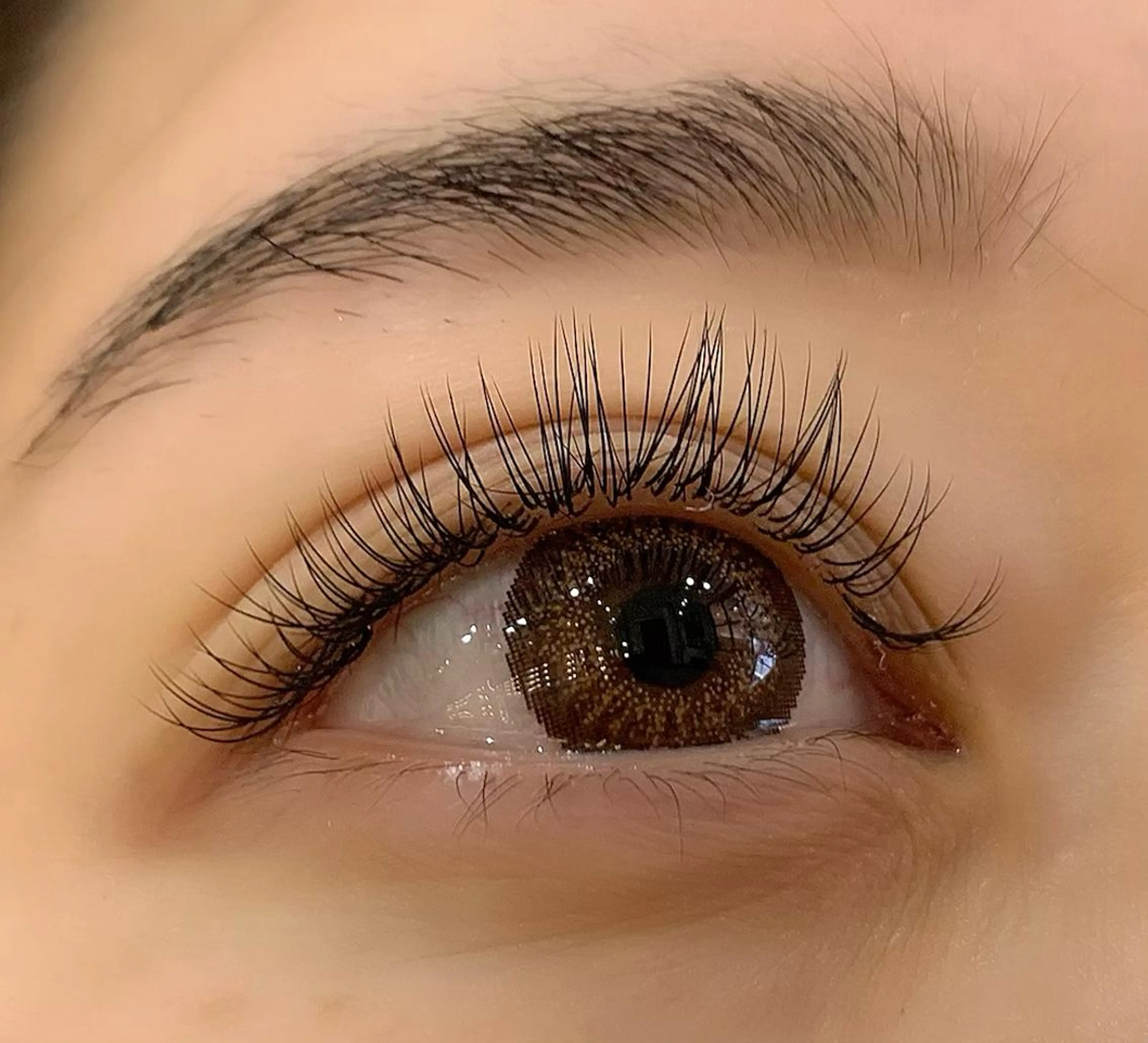 マツエク・マツパ セーブル Celeste Venus所属・🧸Celeste Venusのマツエク・マツパデザイン