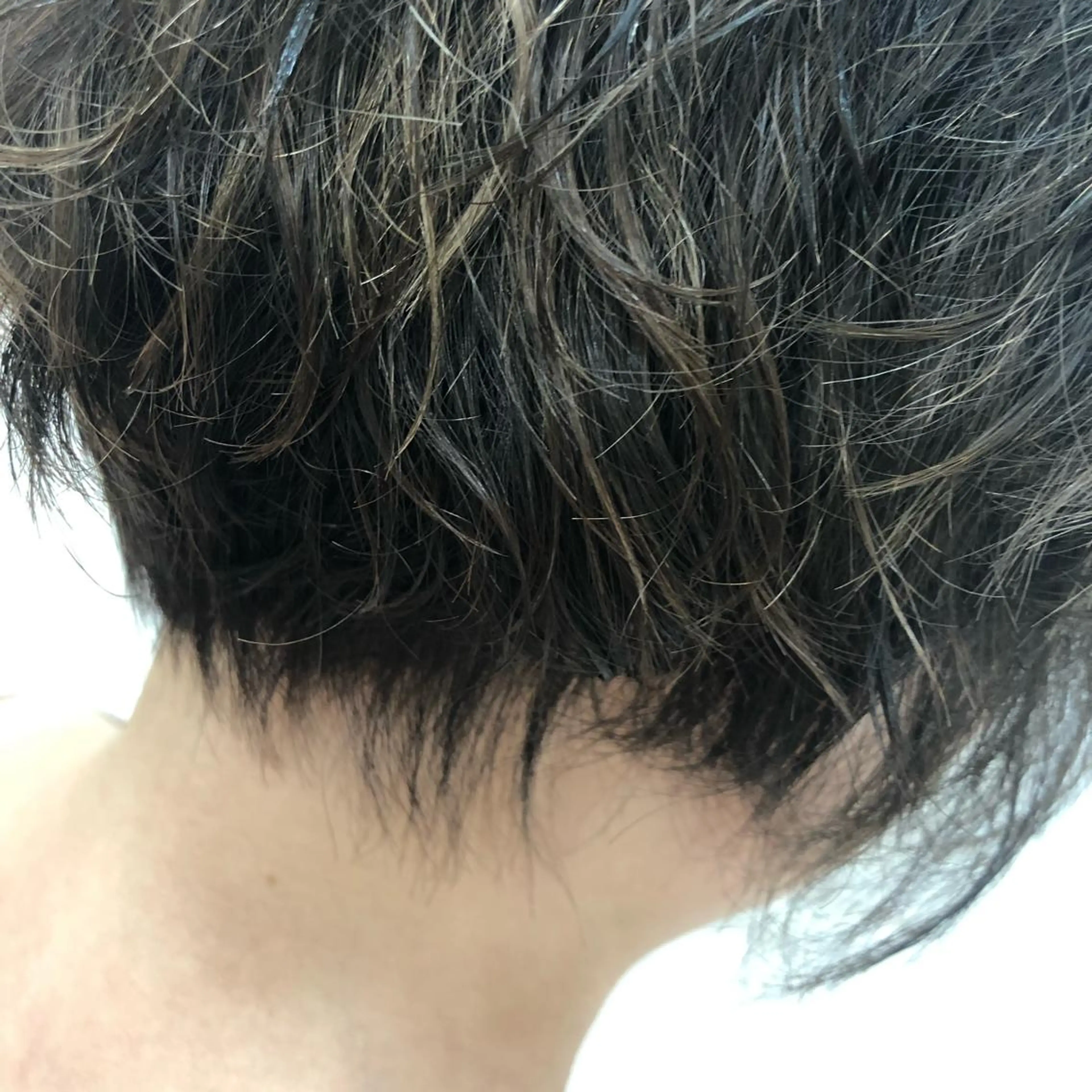 ショート カラー ハイライトカラー ハイライト ショートヘア ヘアカラー ショート 嶋津祥希のヘアスタイル