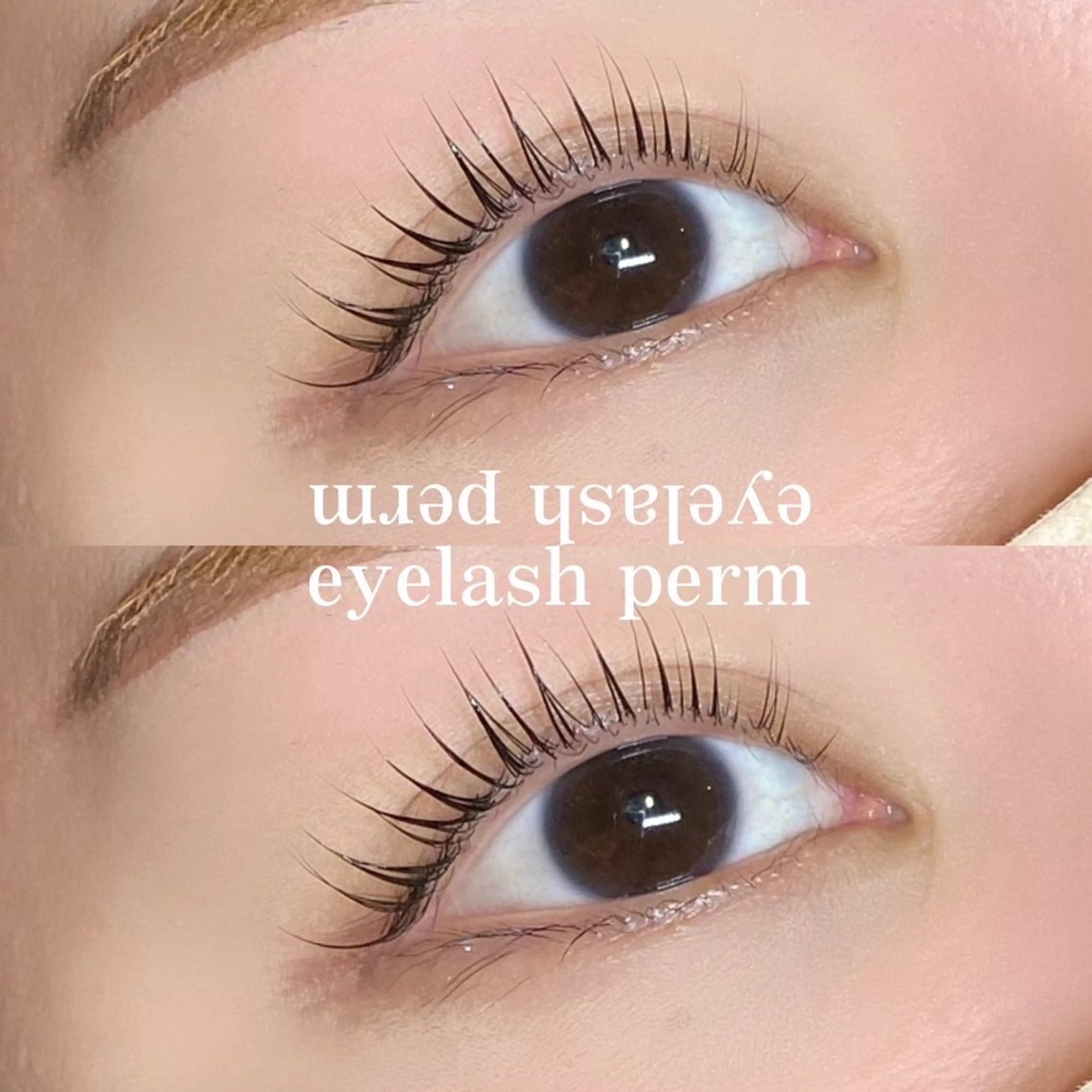 マツエク・マツパ ナチュラル NAIL&EYELASH PLAZA 南森町所属・SAKI /モデル募集♡̷⸝⋆のマツエク・マツパデザイン