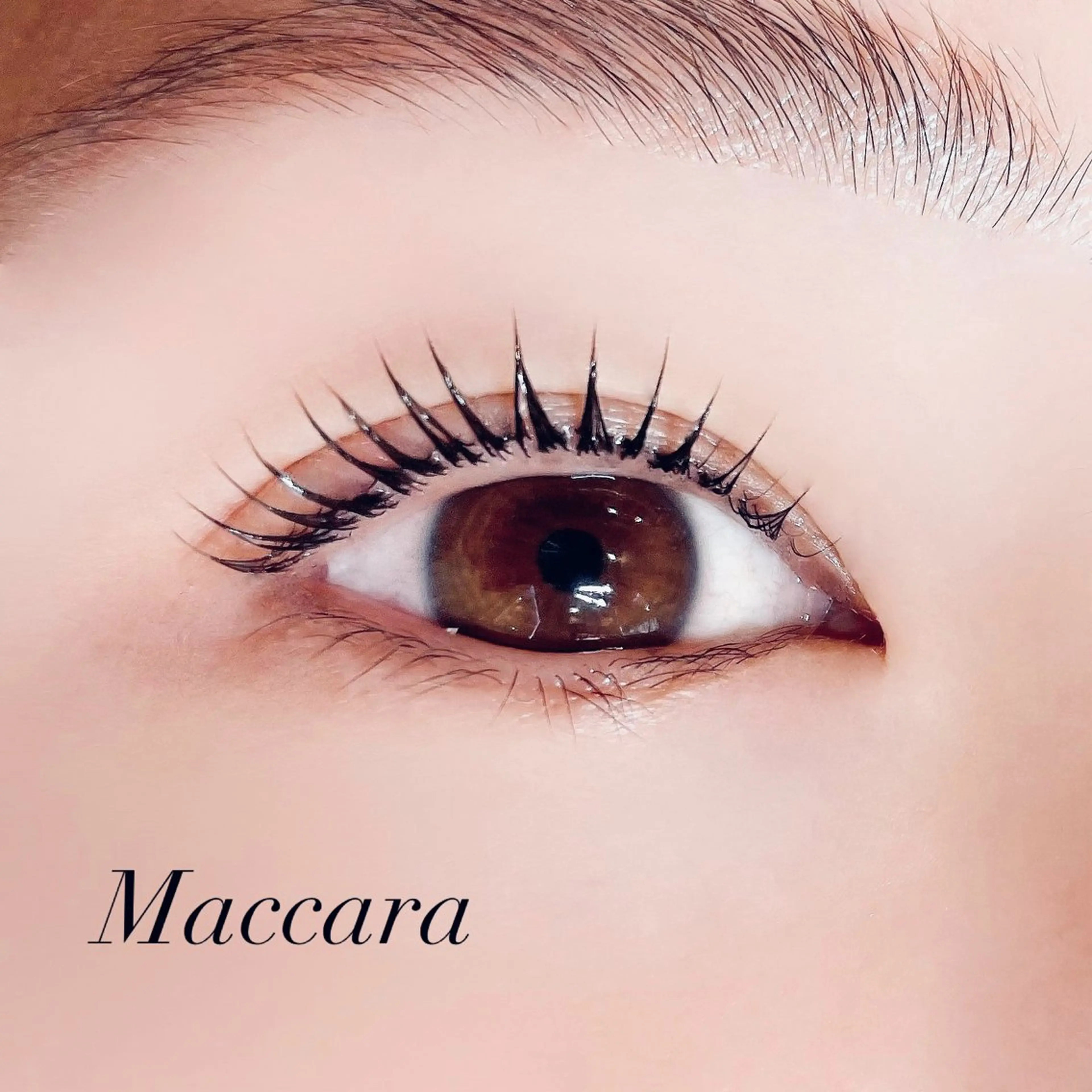 マツエク・マツパ マツパ Pupu lash所属・Pupu lash 2のマツエク・マツパデザイン