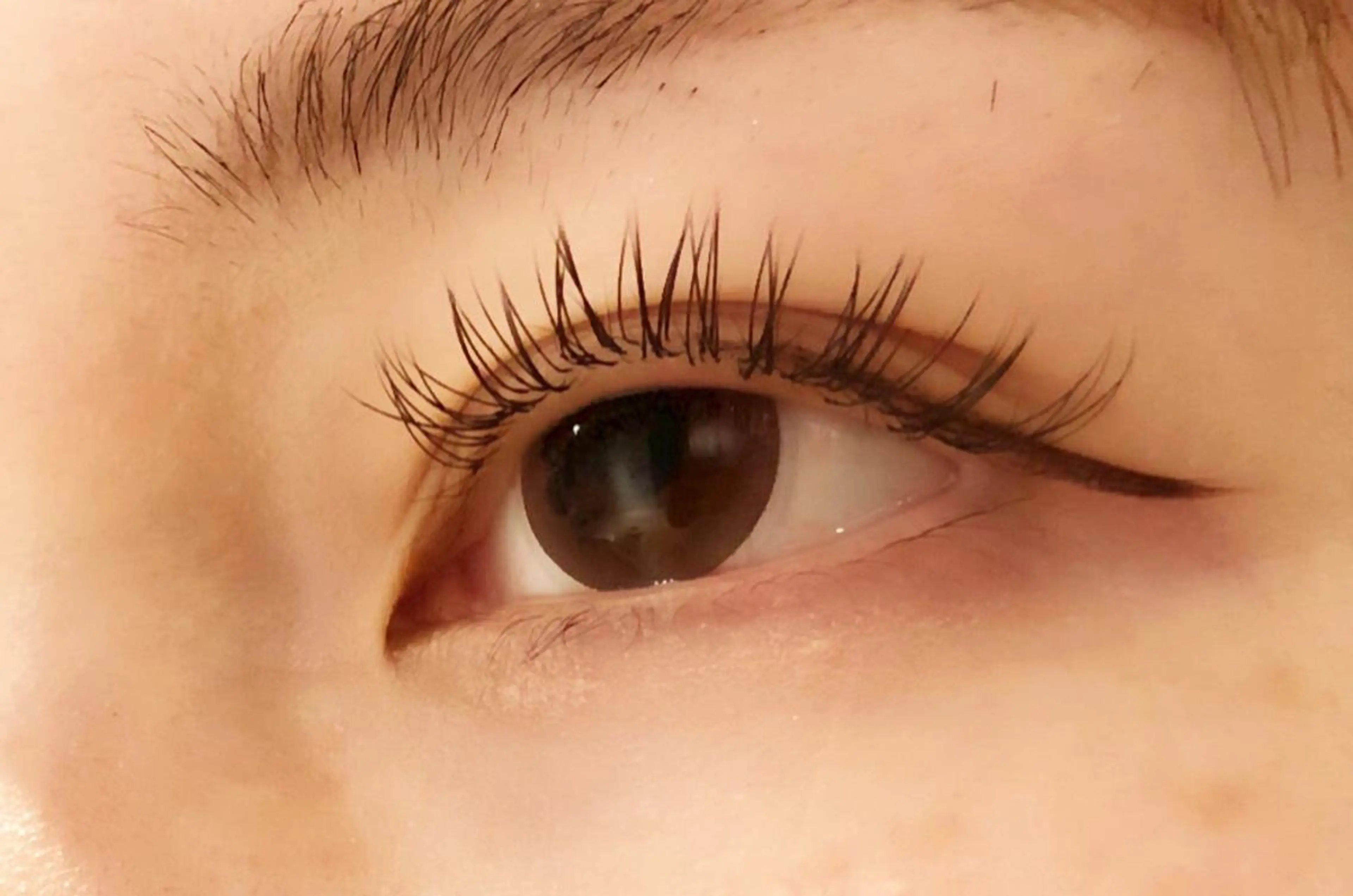 マツエク・マツパ フラットラッシュ レイ ⭐︎のマツエク・マツパデザイン