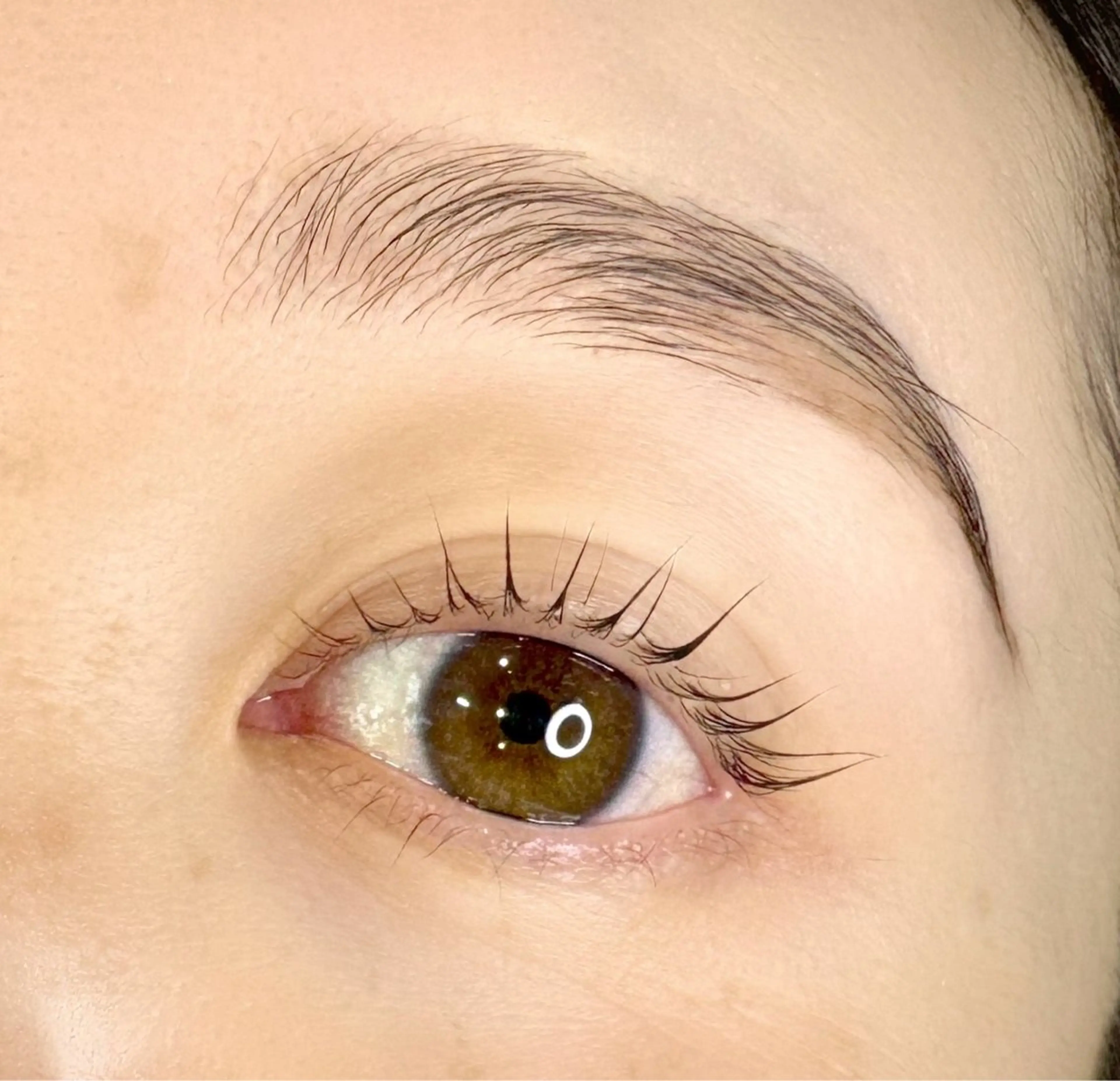 ハリウッドブロウリフト(眉毛)＋まつ毛パーマ✨同時施術💕の写真